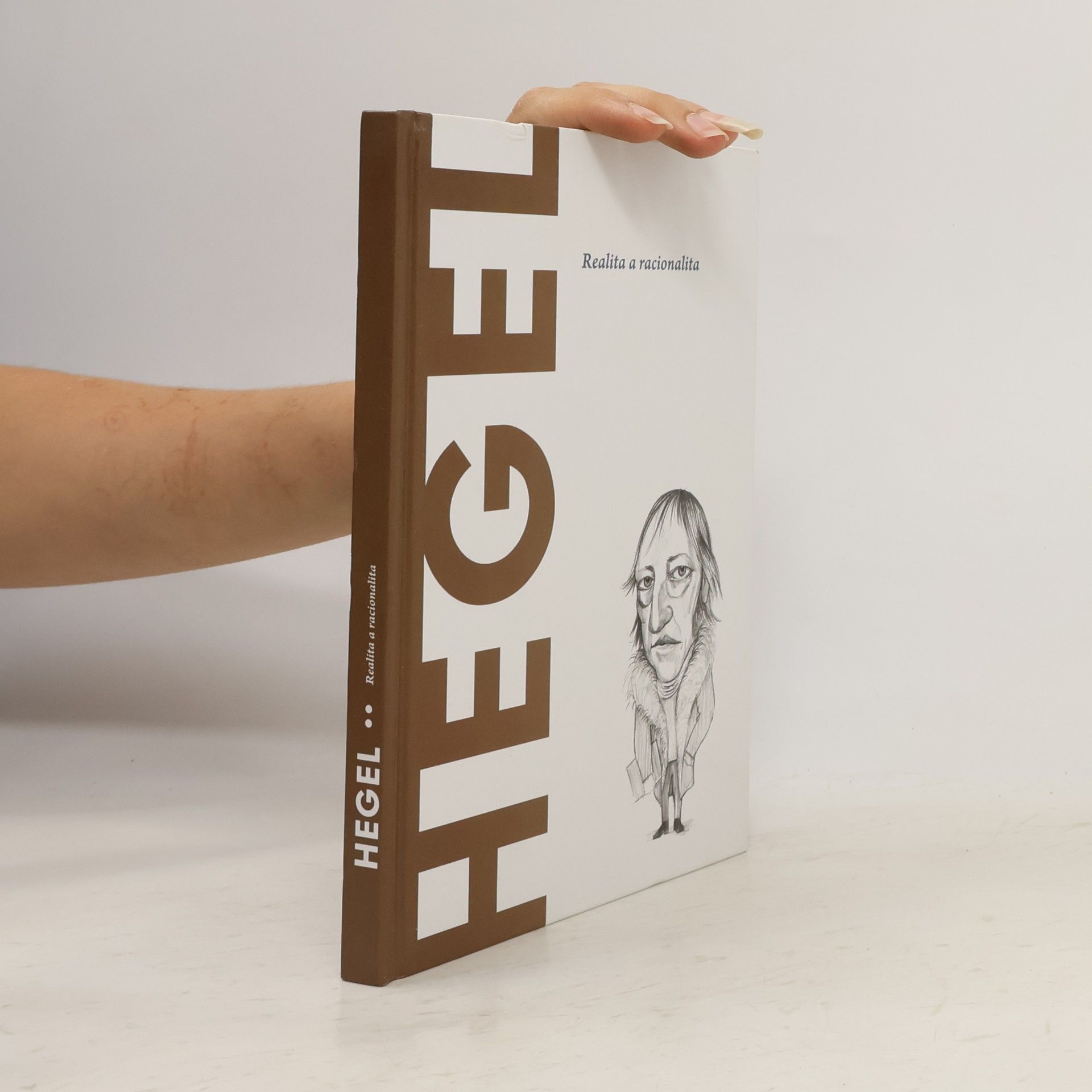 Kolektiv autorů Hegel. Realita a racionalita