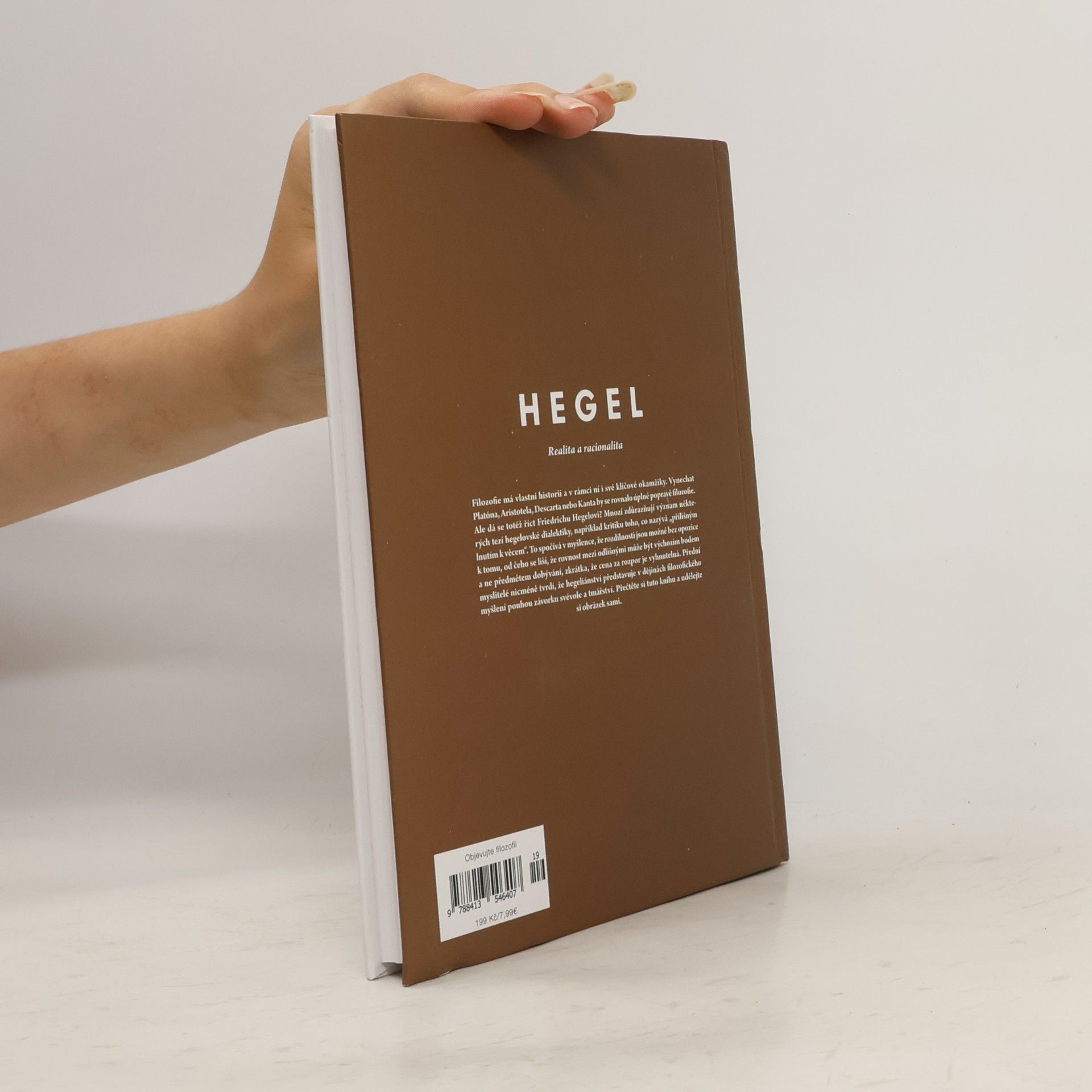 Kolektiv autorů Hegel. Realita a racionalita