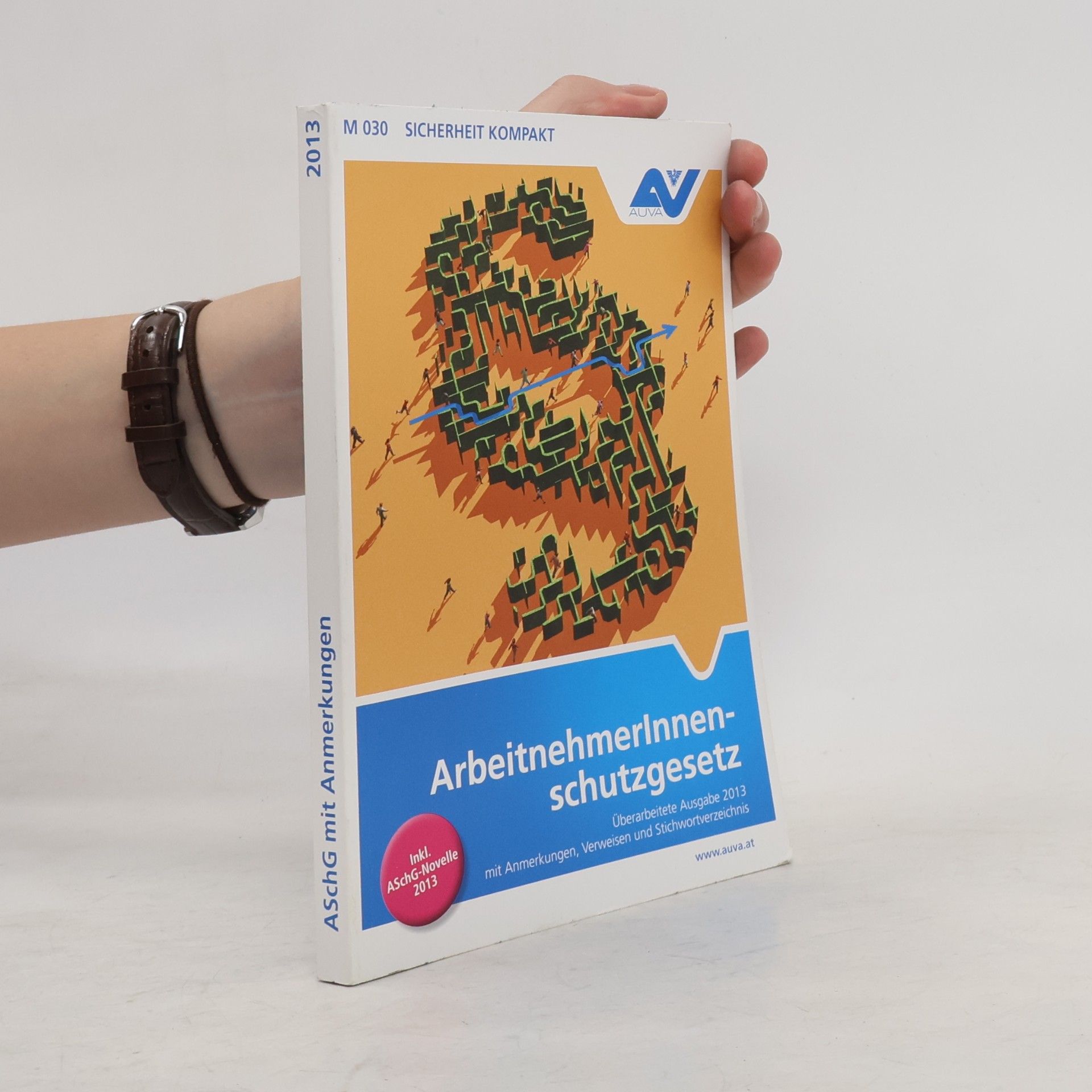 Autorenkollektiv Arbeitnehmerinnenschutzgesetz