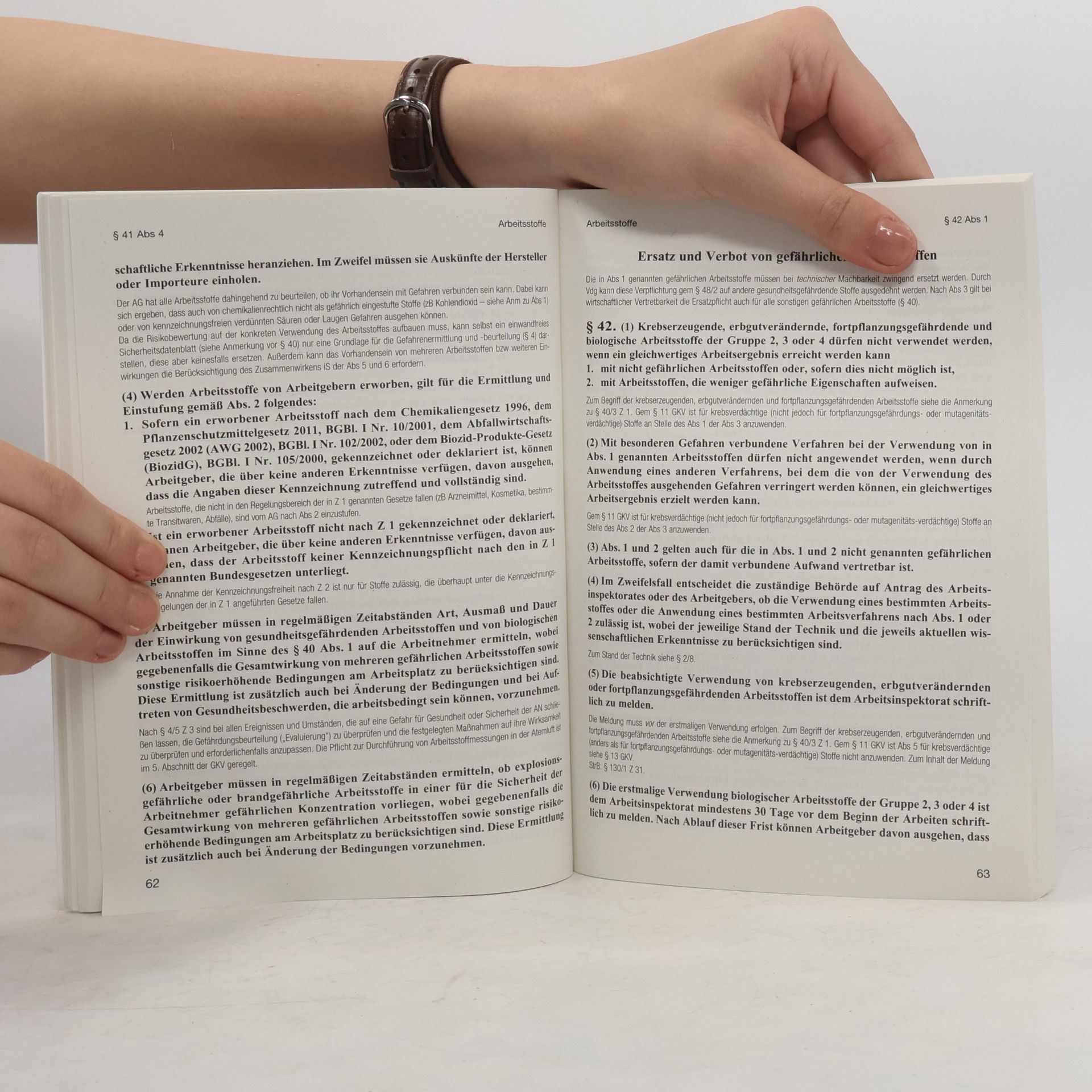 Autorenkollektiv Arbeitnehmerinnenschutzgesetz