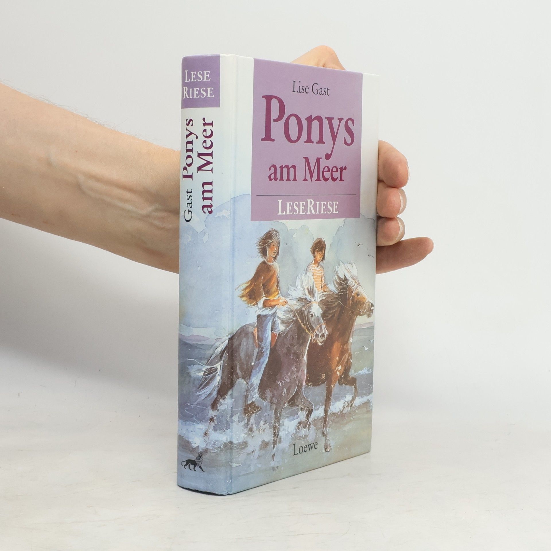 Lise Gast Ponys am Meer