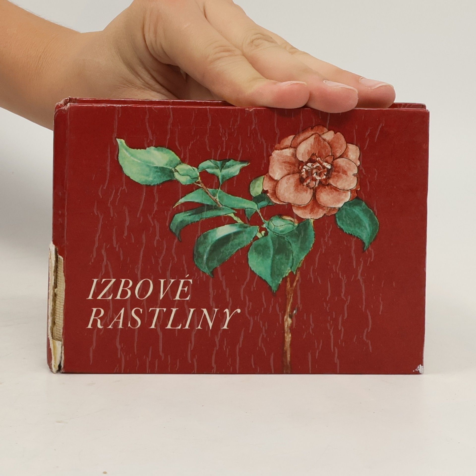 Martin Červenka Izbové rastliny