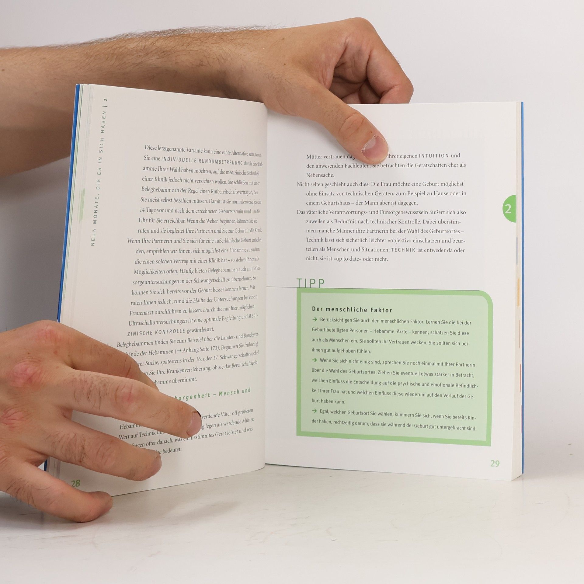 Robert Richter Das Papa-Handbuch