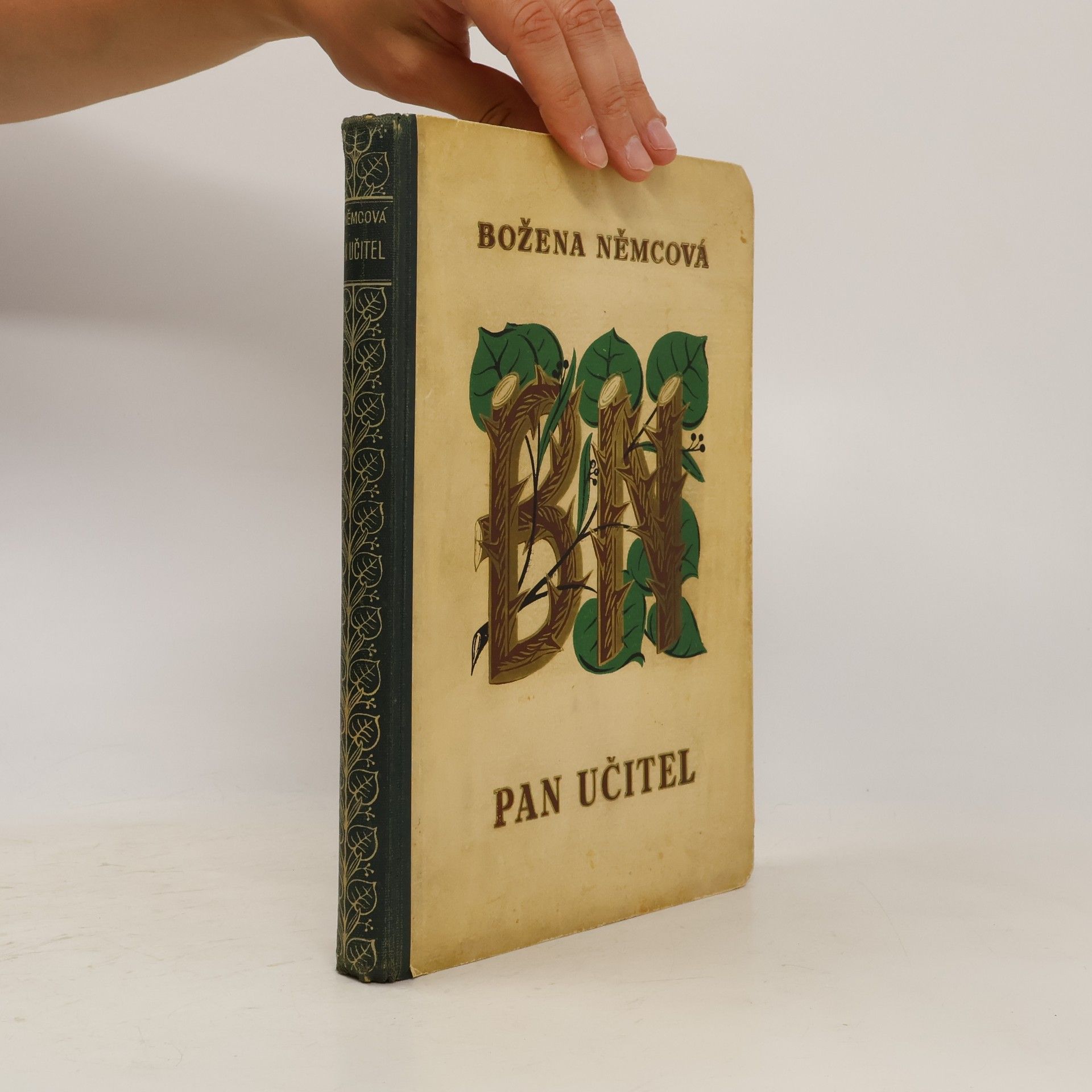 Božena Němcová Pan učitel a jiné povídky