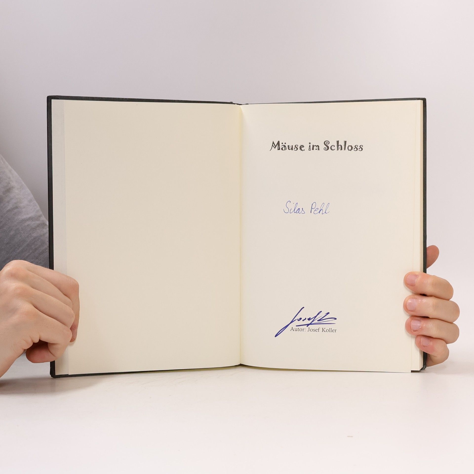 Josef Koller Mäuse im Schloss
