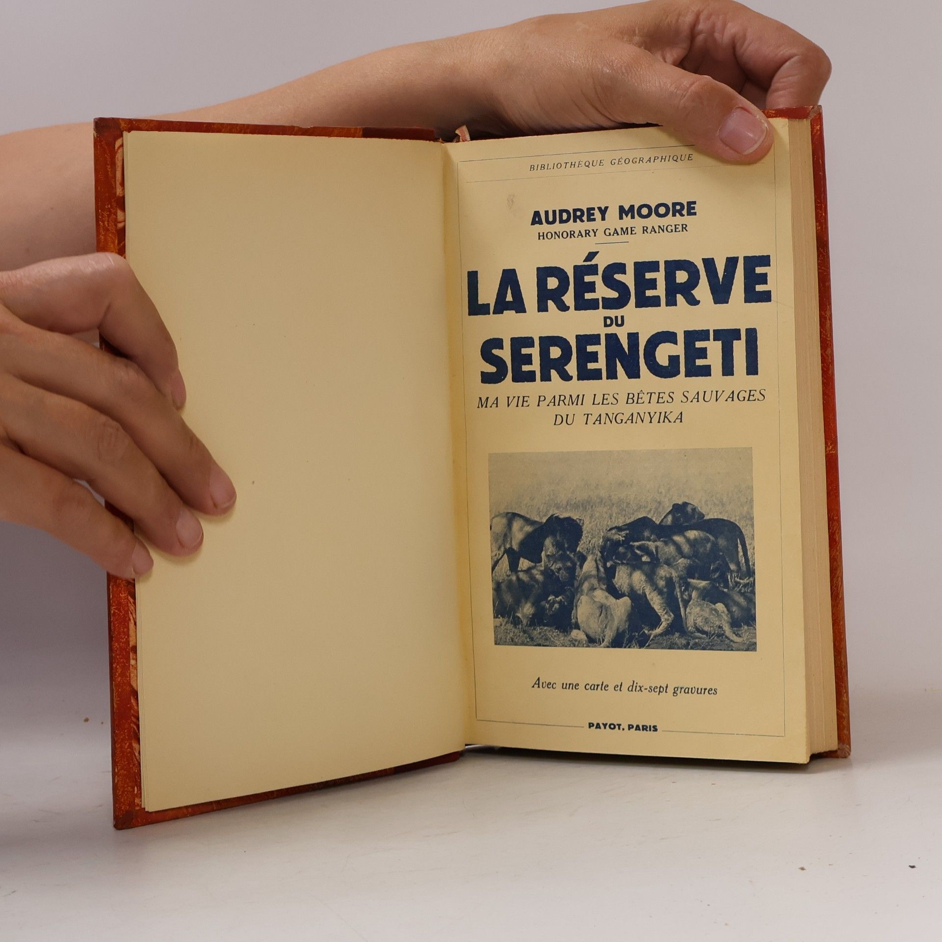 Audrey Moore La réserve du Serengeti