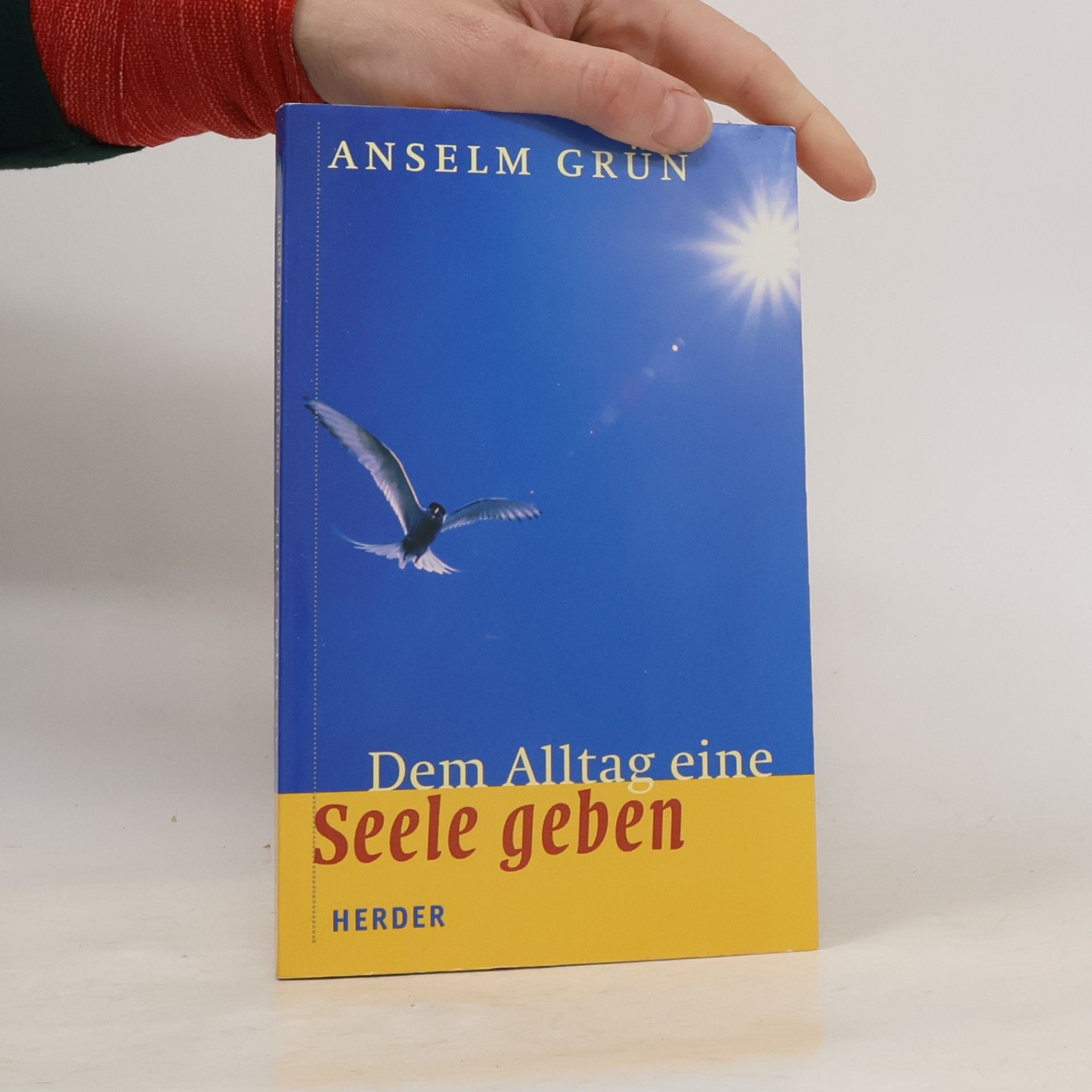 Anselm Grün Dem Alltag eine Seele geben