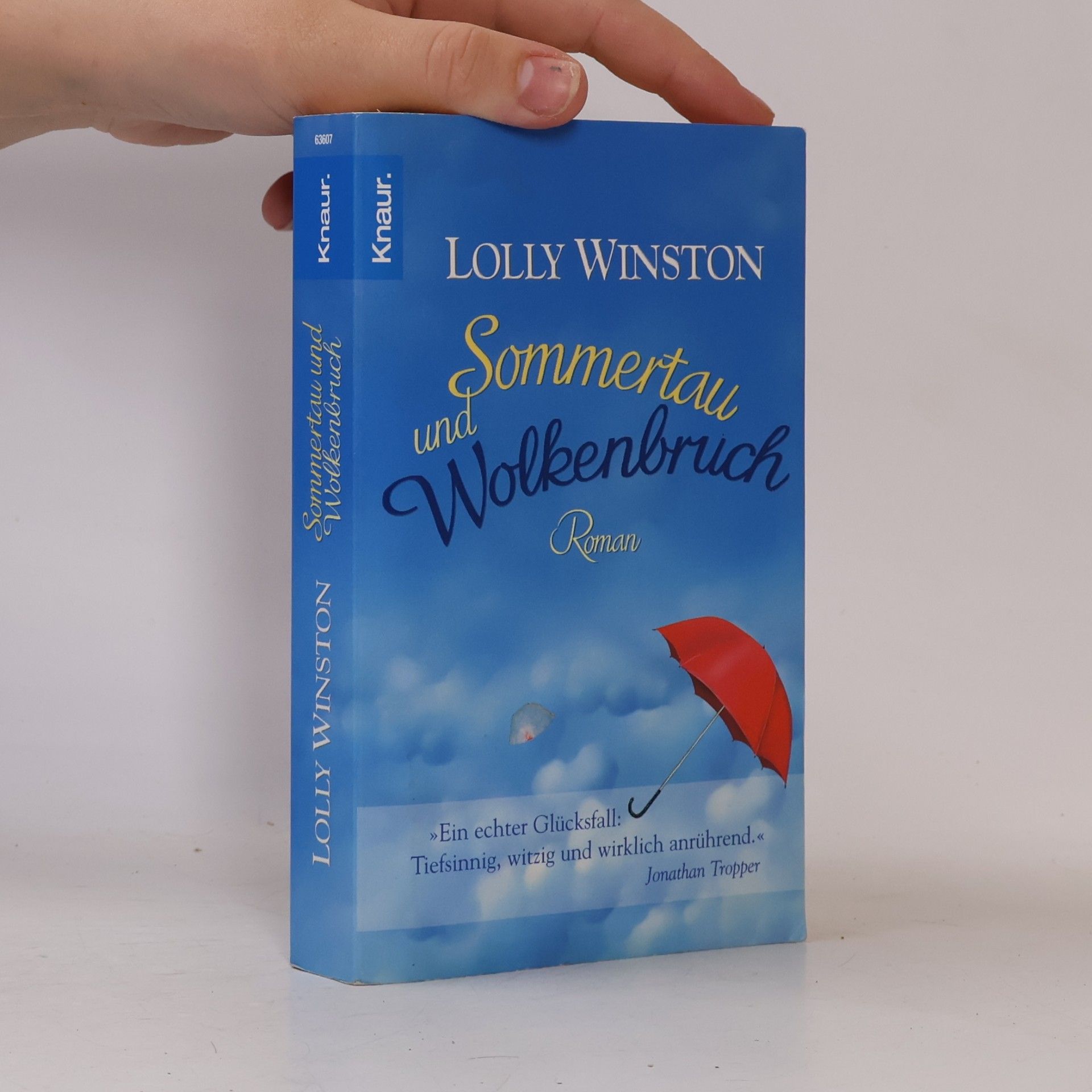 Lolly Winston Sommertau und Wolkenbruch