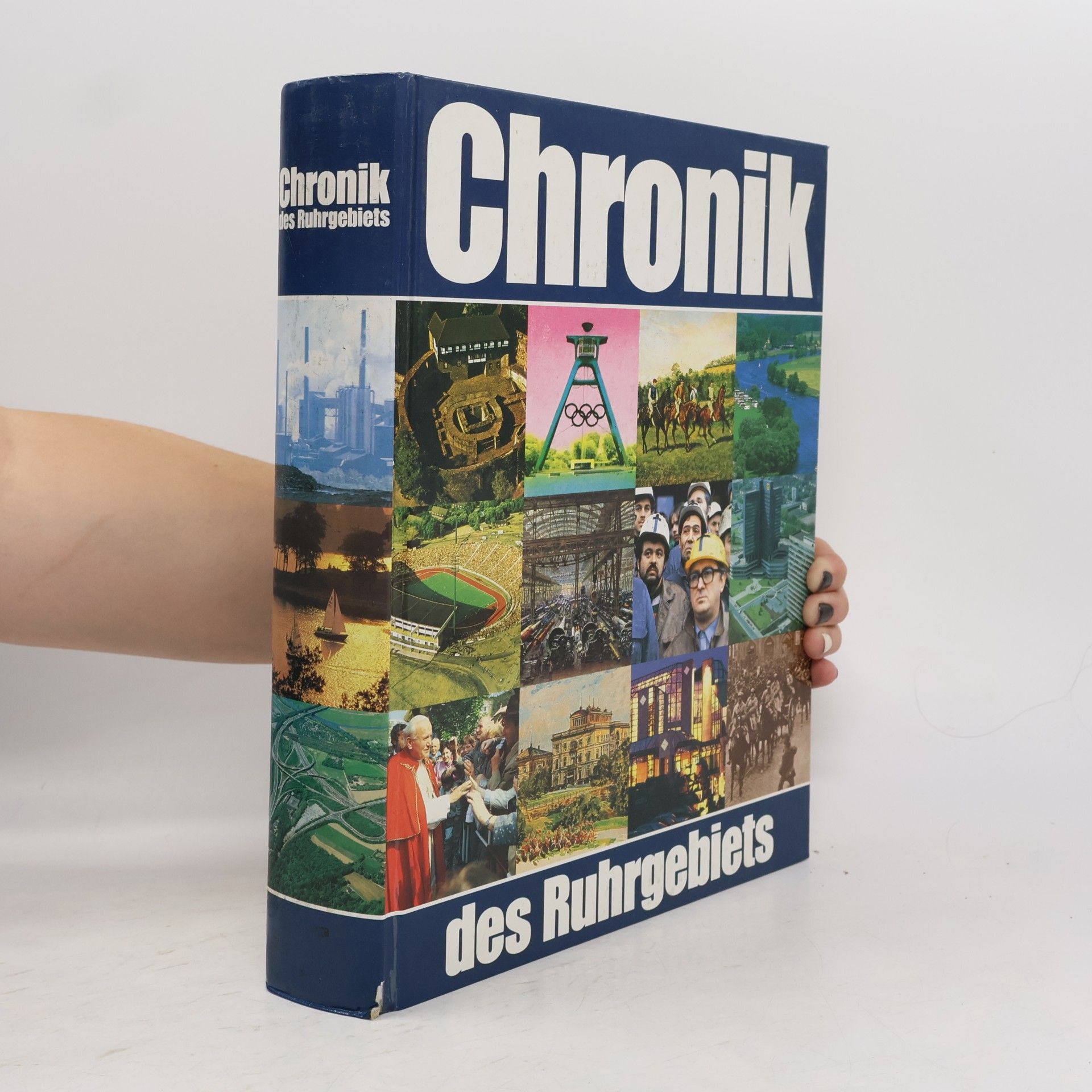 Kolektiv autorů Chronik des Ruhrgebiets