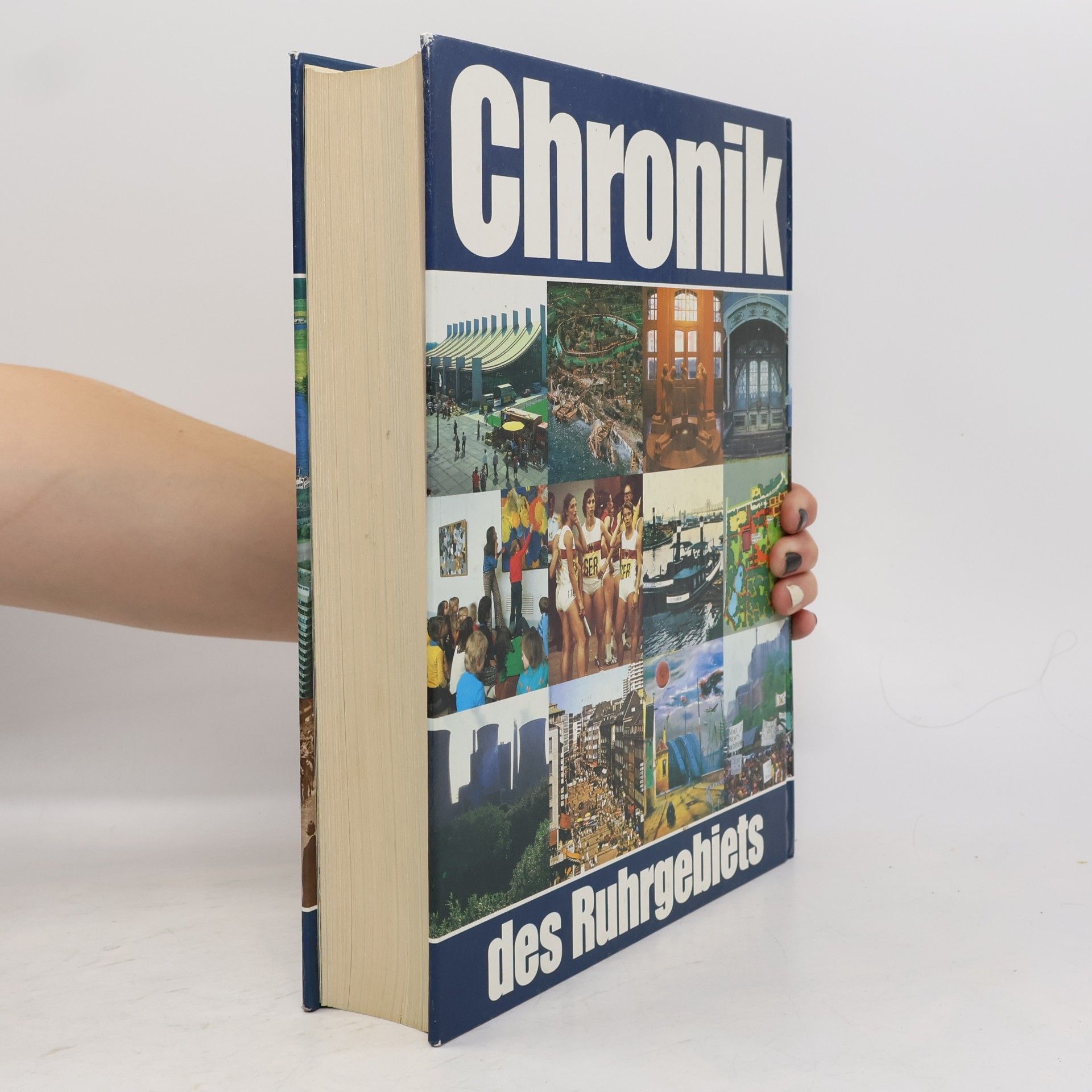 Kolektiv autorů Chronik des Ruhrgebiets