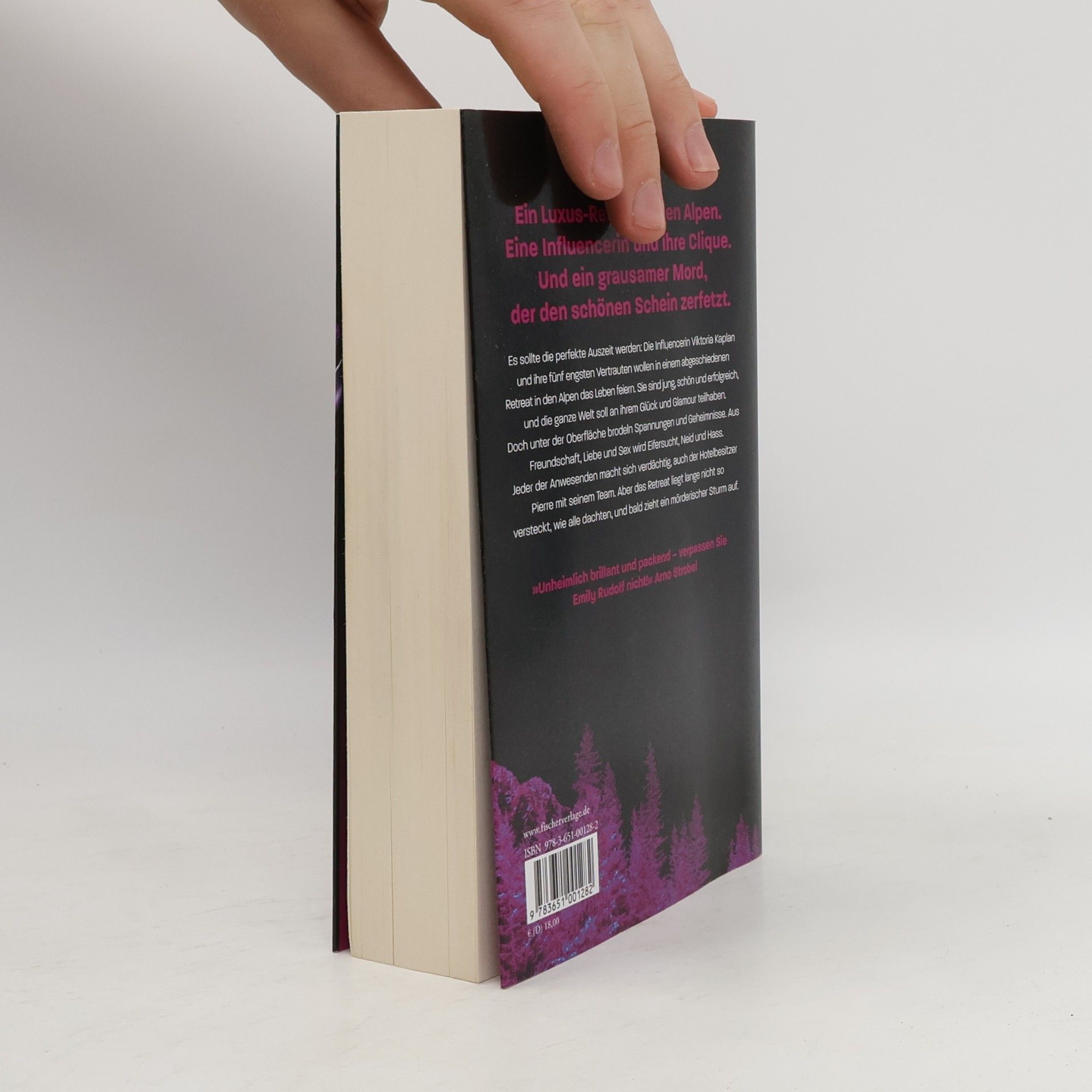 Emily Rudolf Die Auszeit