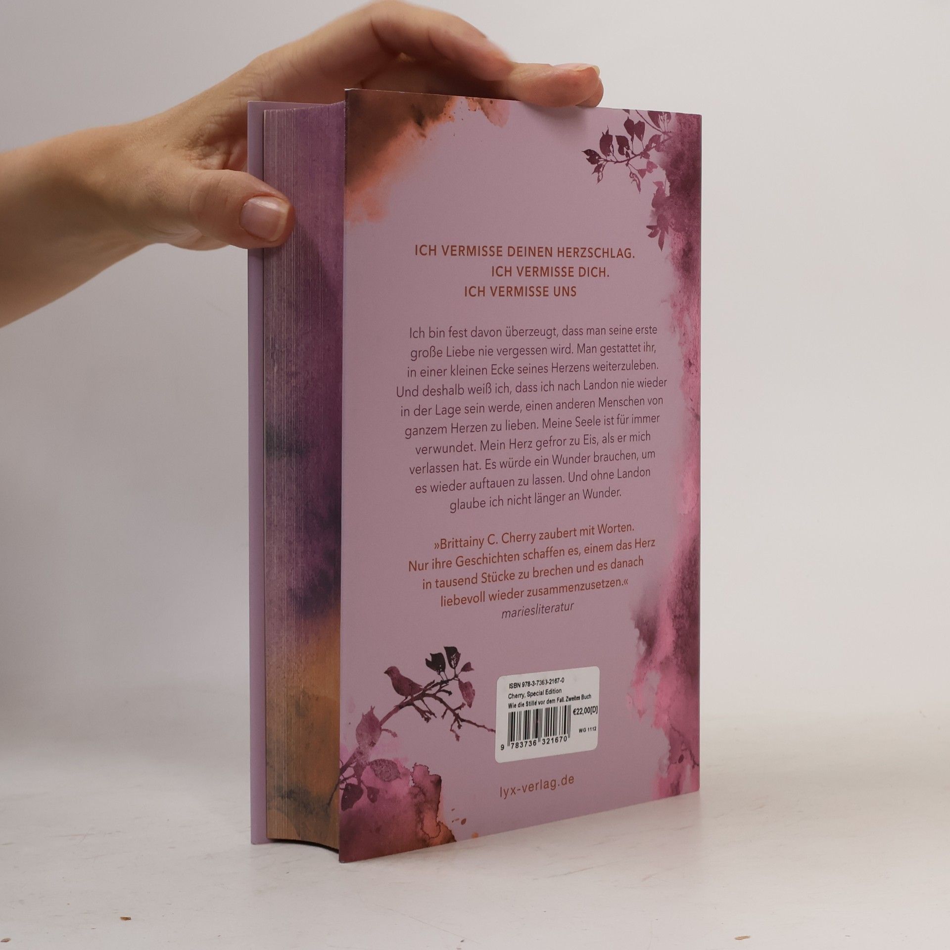 Brittainy C. Cherry Wie die Stille vor dem Fall. Zweites Buch: Special Edition