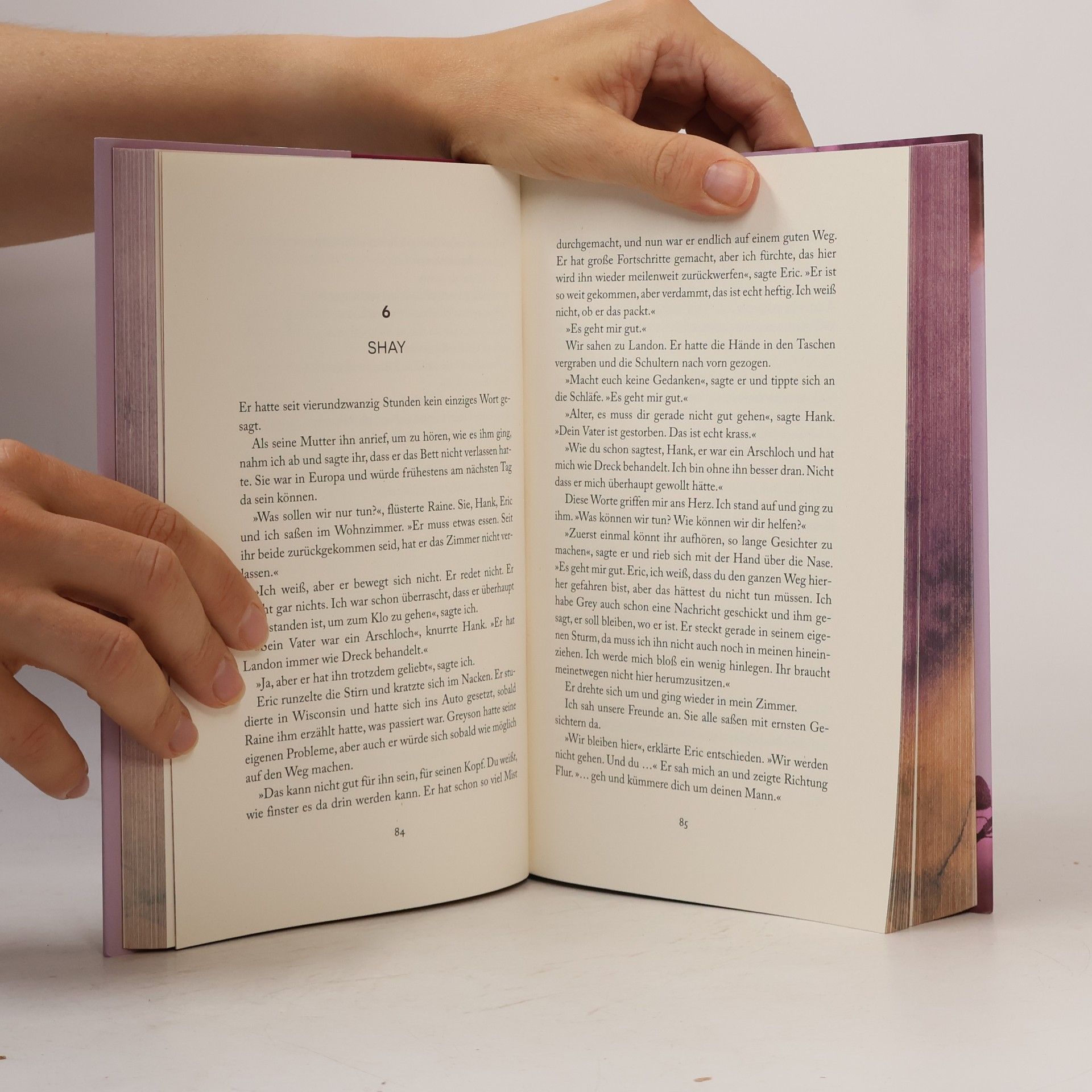 Brittainy C. Cherry Wie die Stille vor dem Fall. Zweites Buch: Special Edition