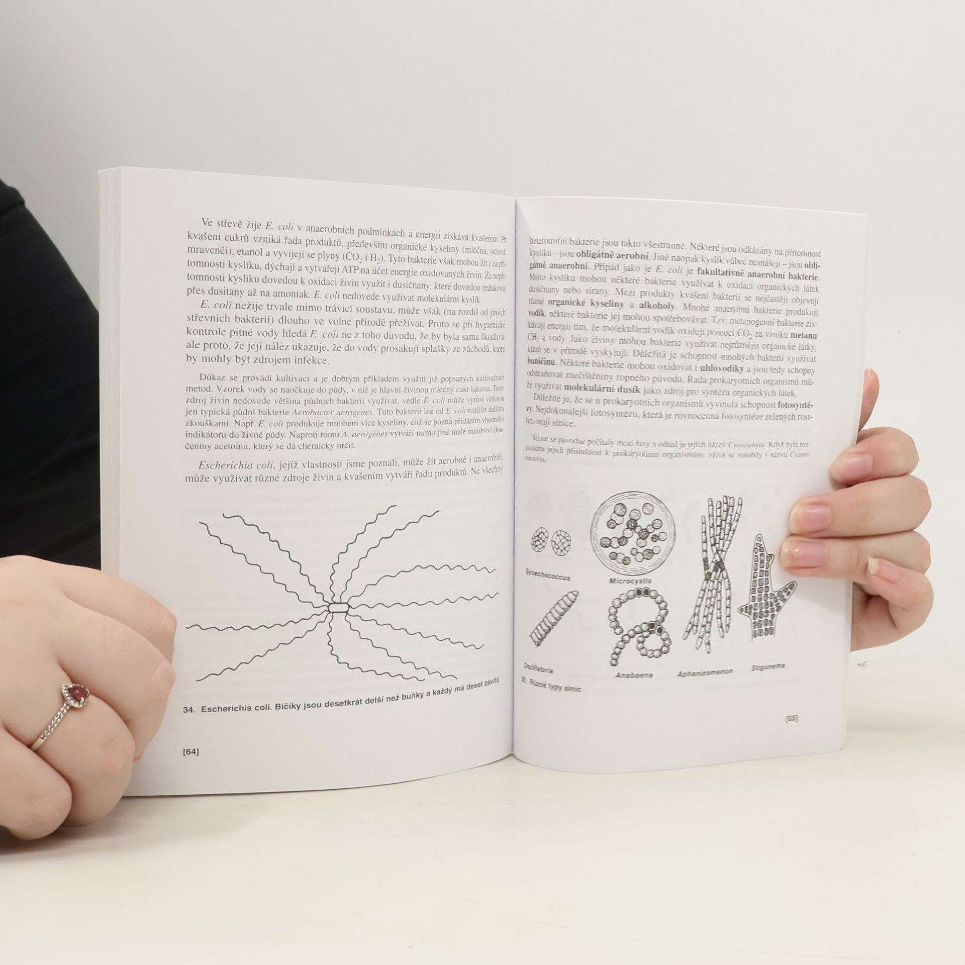 Václav Kubišta Obecná biologie. Úvodní učební text biologie pro 1. ročník gymnázií
