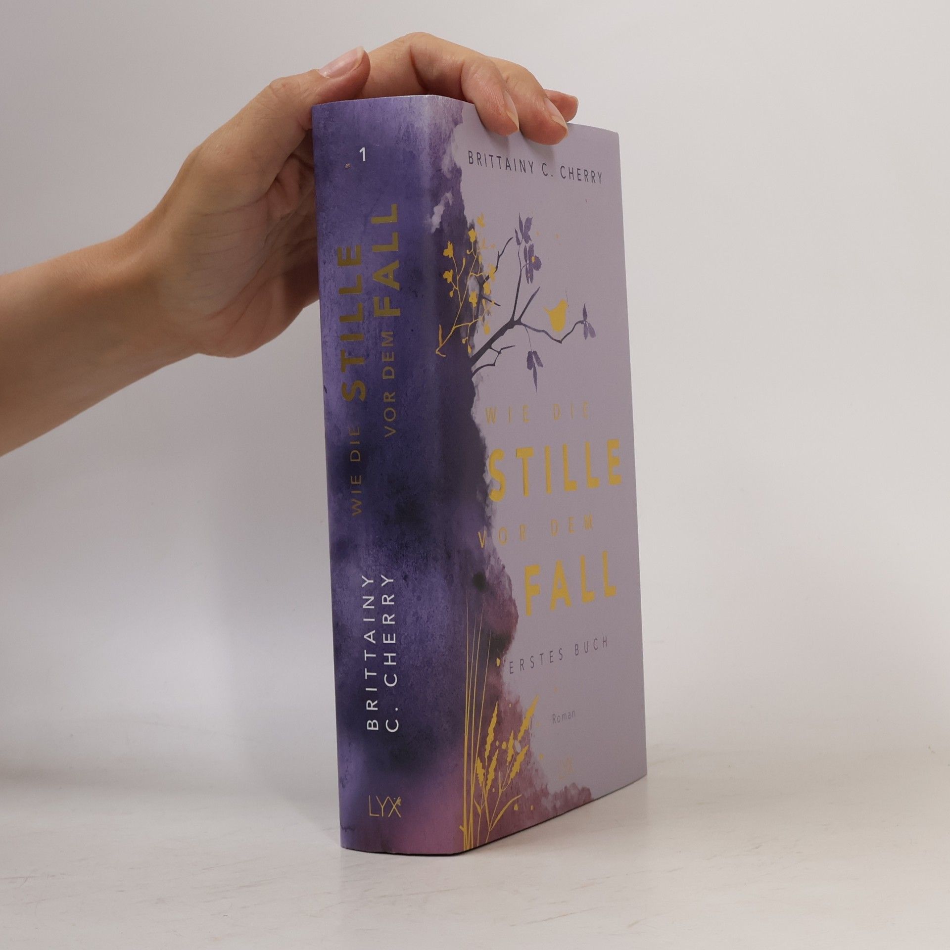 Brittainy C. Cherry Wie die Stille vor dem Fall. Erstes Buch: Special Edition