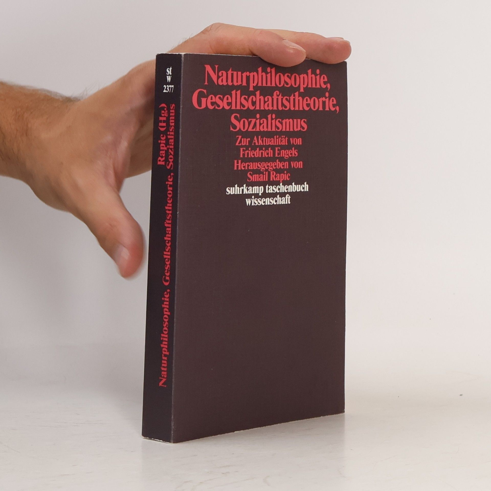 Smail Rapic Naturphilosophie, Gesellschaftstheorie, Sozialismus