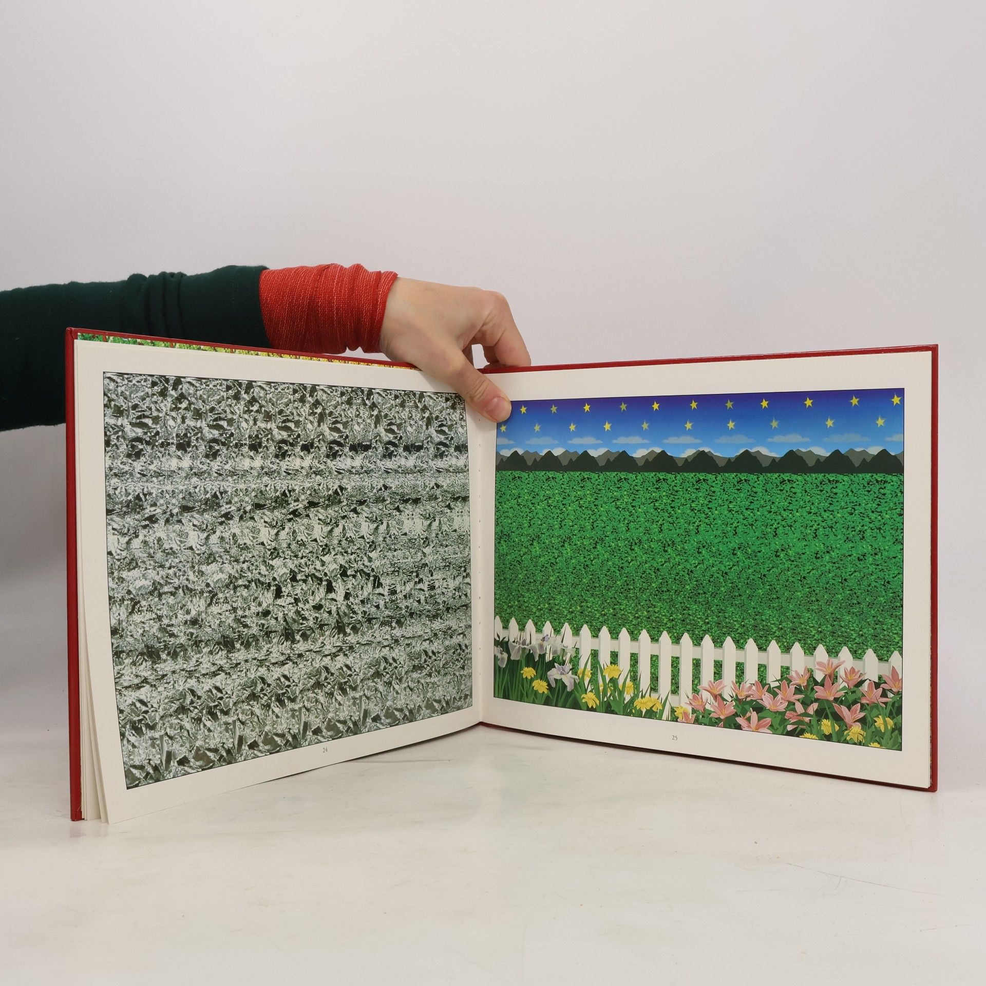 Various authors Das magische Auge