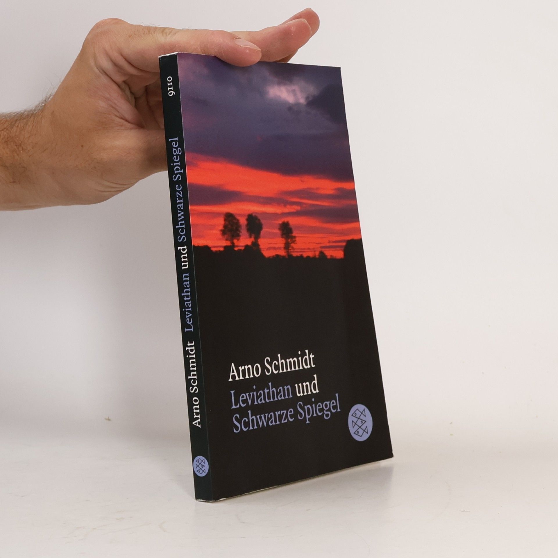 Arno Schmidt Leviathan und Schwarze Spiegel