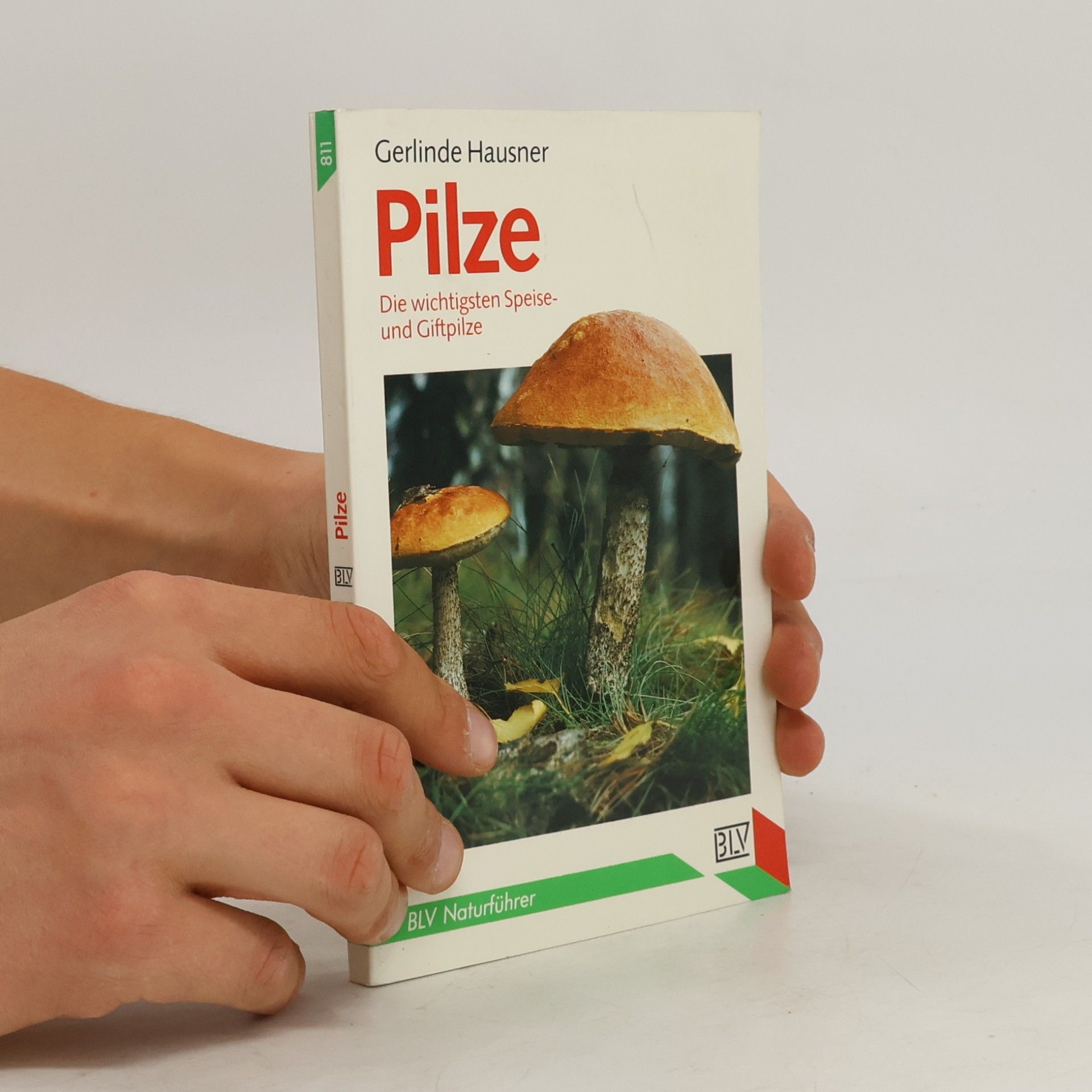 Gerlinde Hausner Pilze