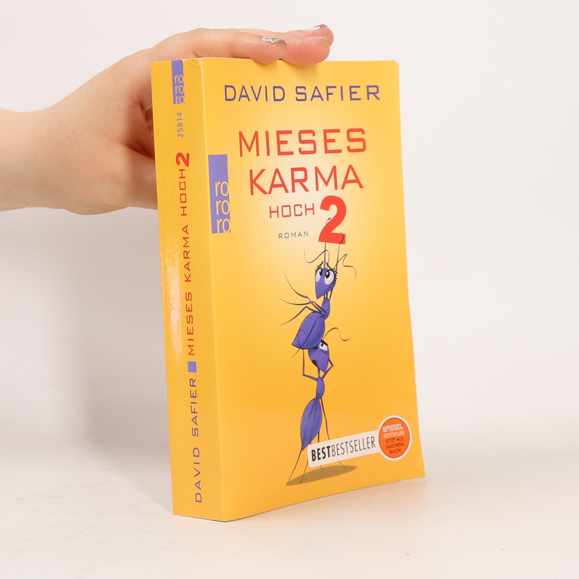 David Safier Mieses Karma hoch 2