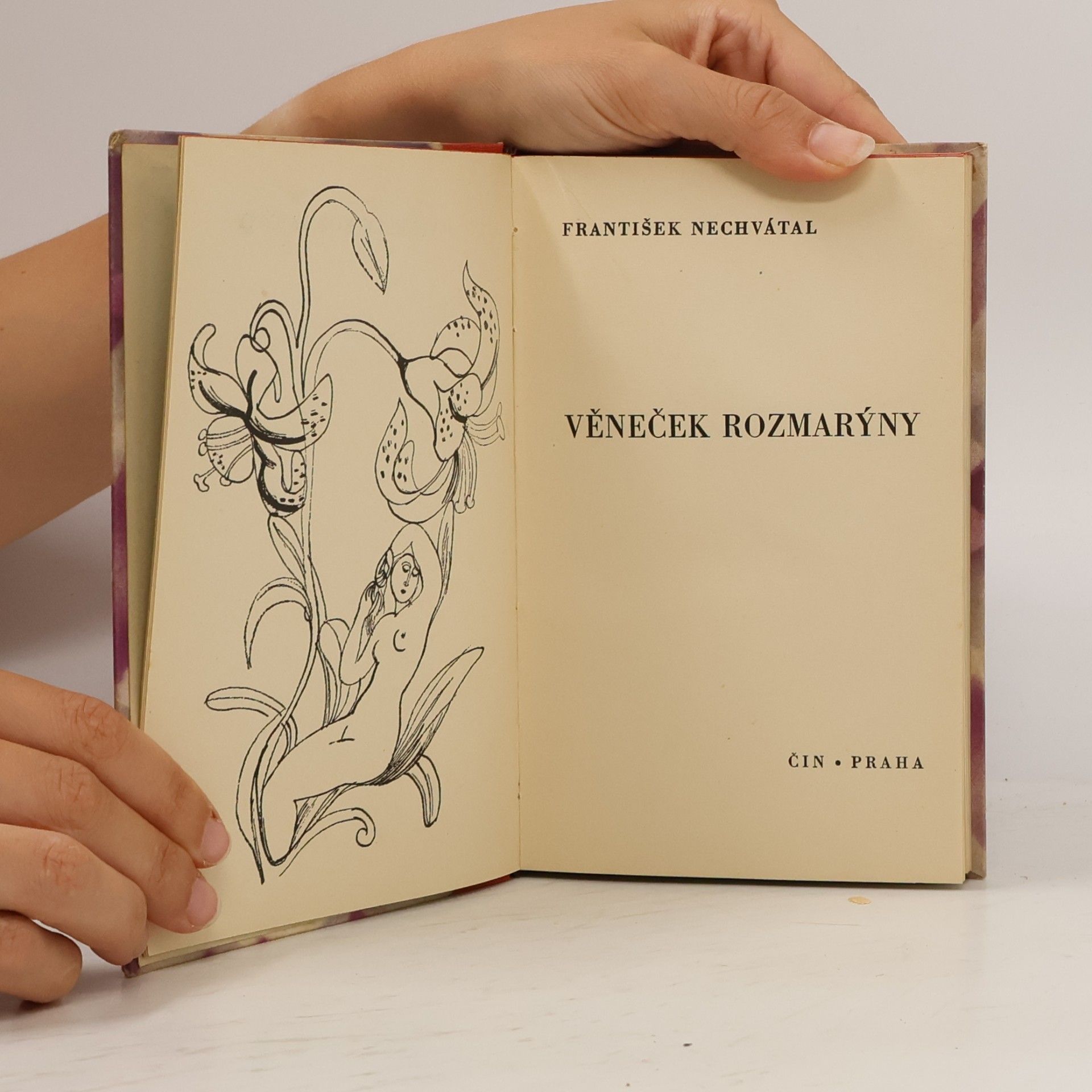 František Nechvátal Věneček rozmarýny