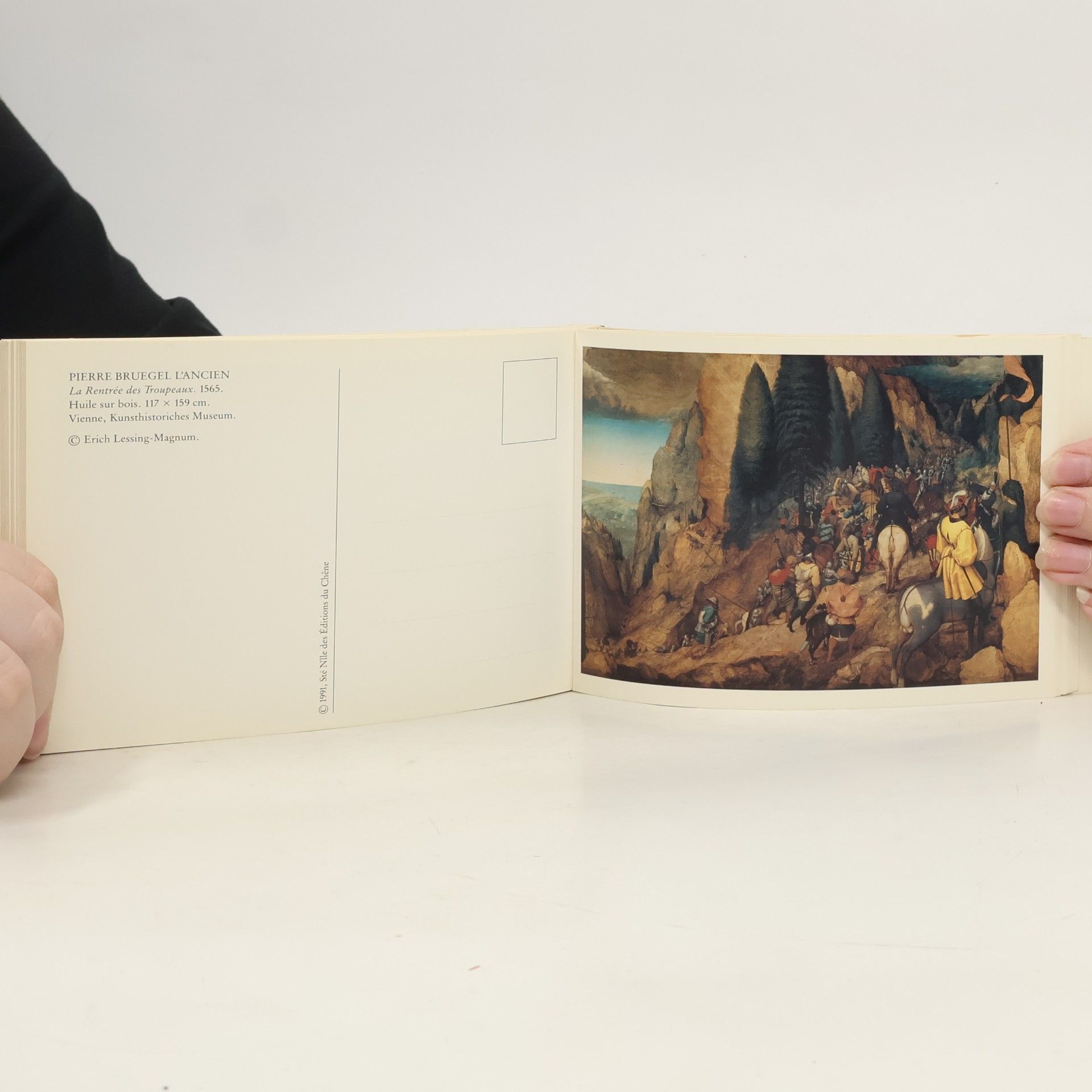 Kolektiv autorů Bruegel