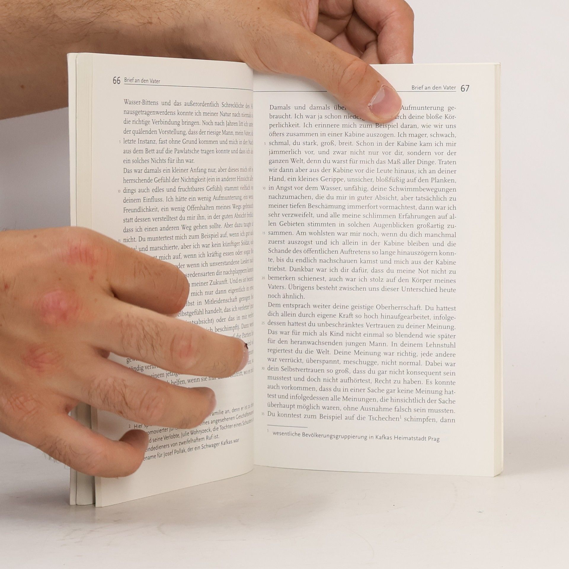 Franz Kafka Einfach Deutsch - Die Verwandlung; Brief an den Vater und weitere Werke