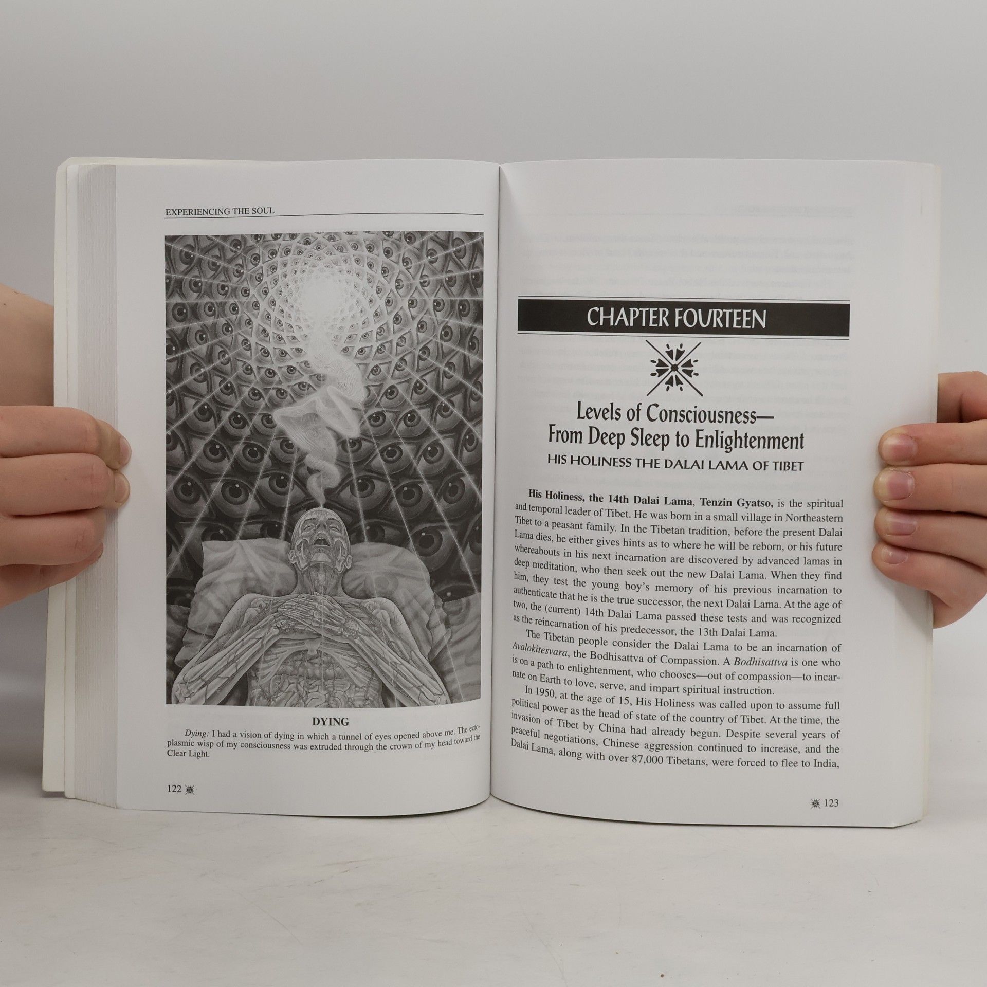 Eliot-Jay Rosen Experiencing the Soul
