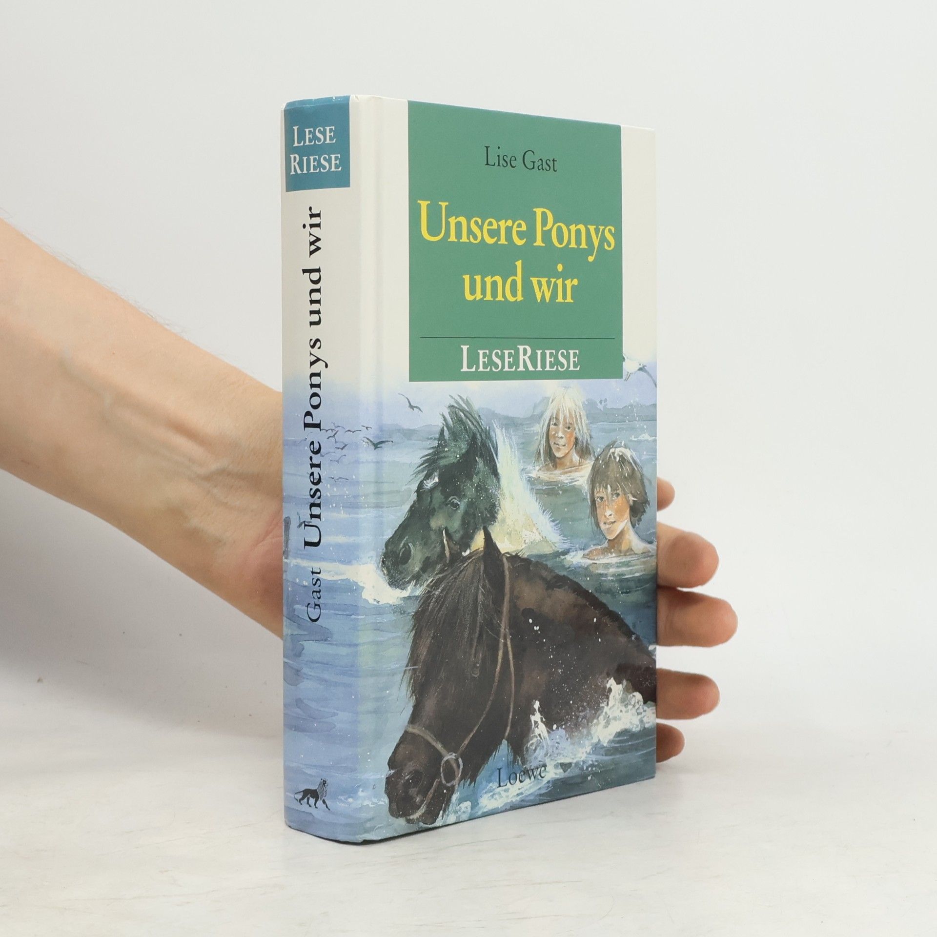 Lise Gast Unsere Ponys und wir