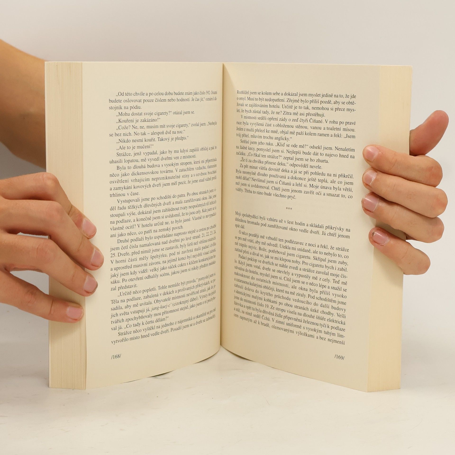 Robert H. Davies V břiše draka : skutečný příběh o lásce, drogách a vězení v současné Číně