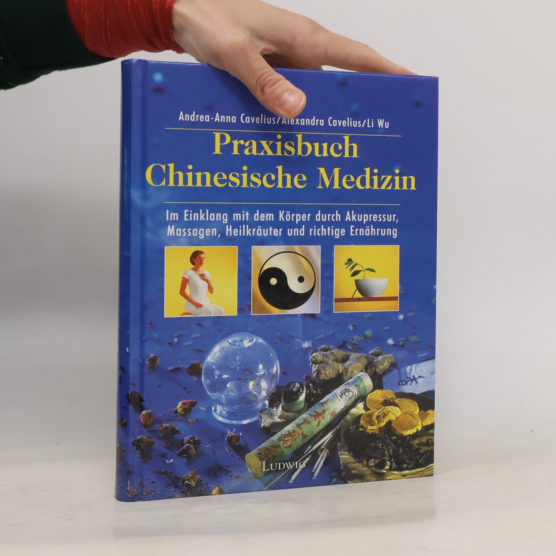 Andrea-Anna Cavelius Praxisbuch chinesische Medizin