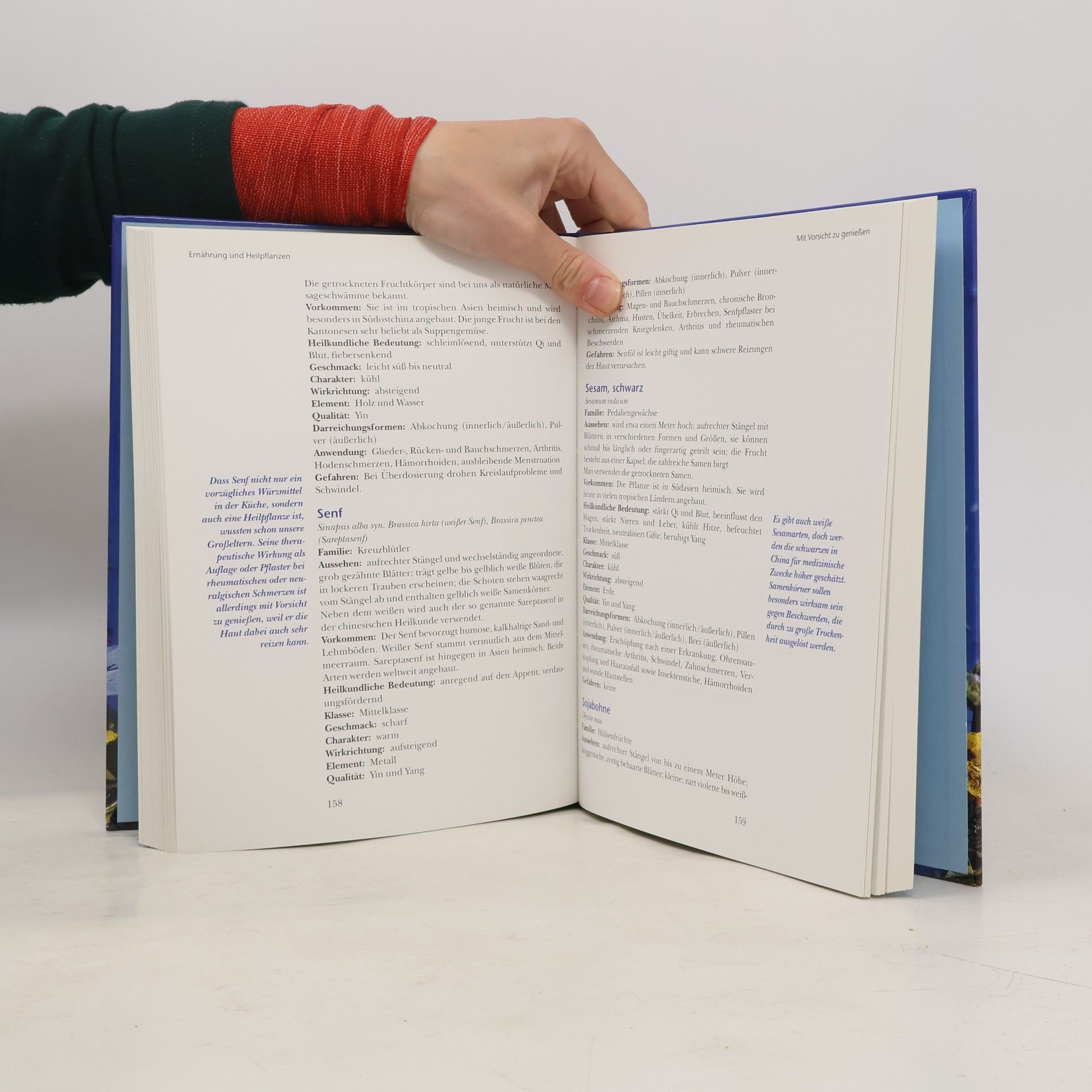 Andrea-Anna Cavelius Praxisbuch chinesische Medizin