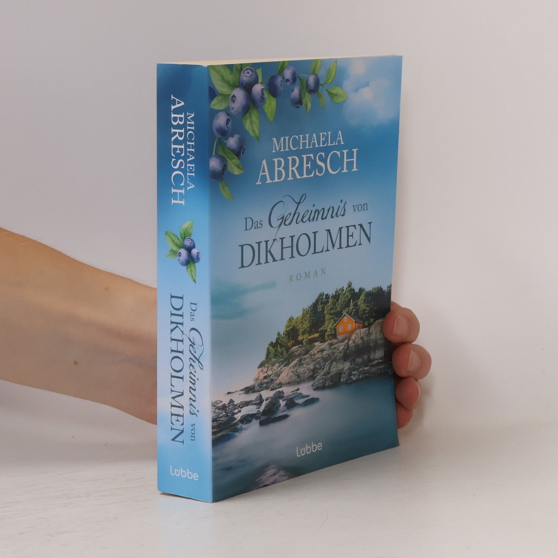 Michaela Abresch Das Geheimnis von Dikholmen