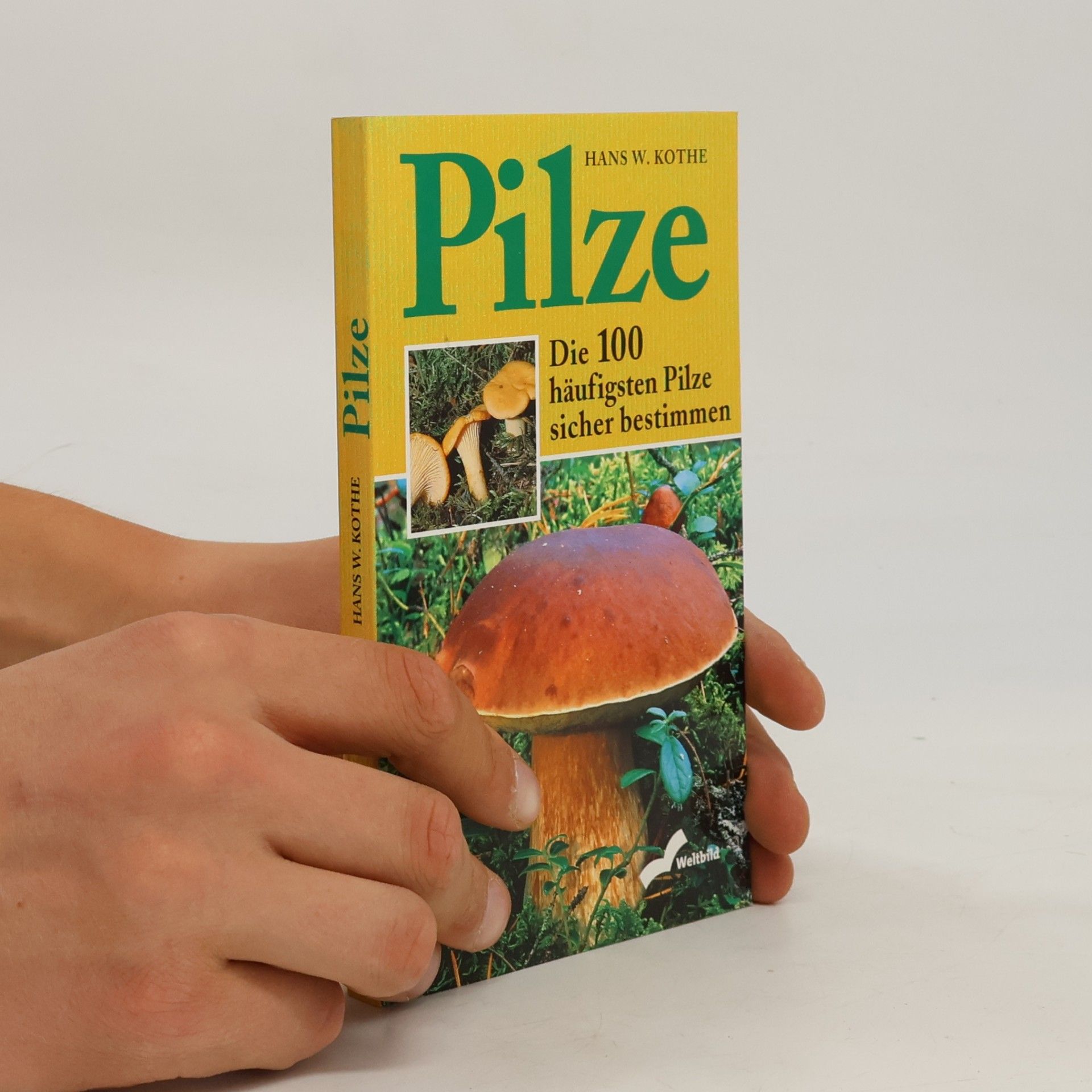 Hans W. Kothe Pilze