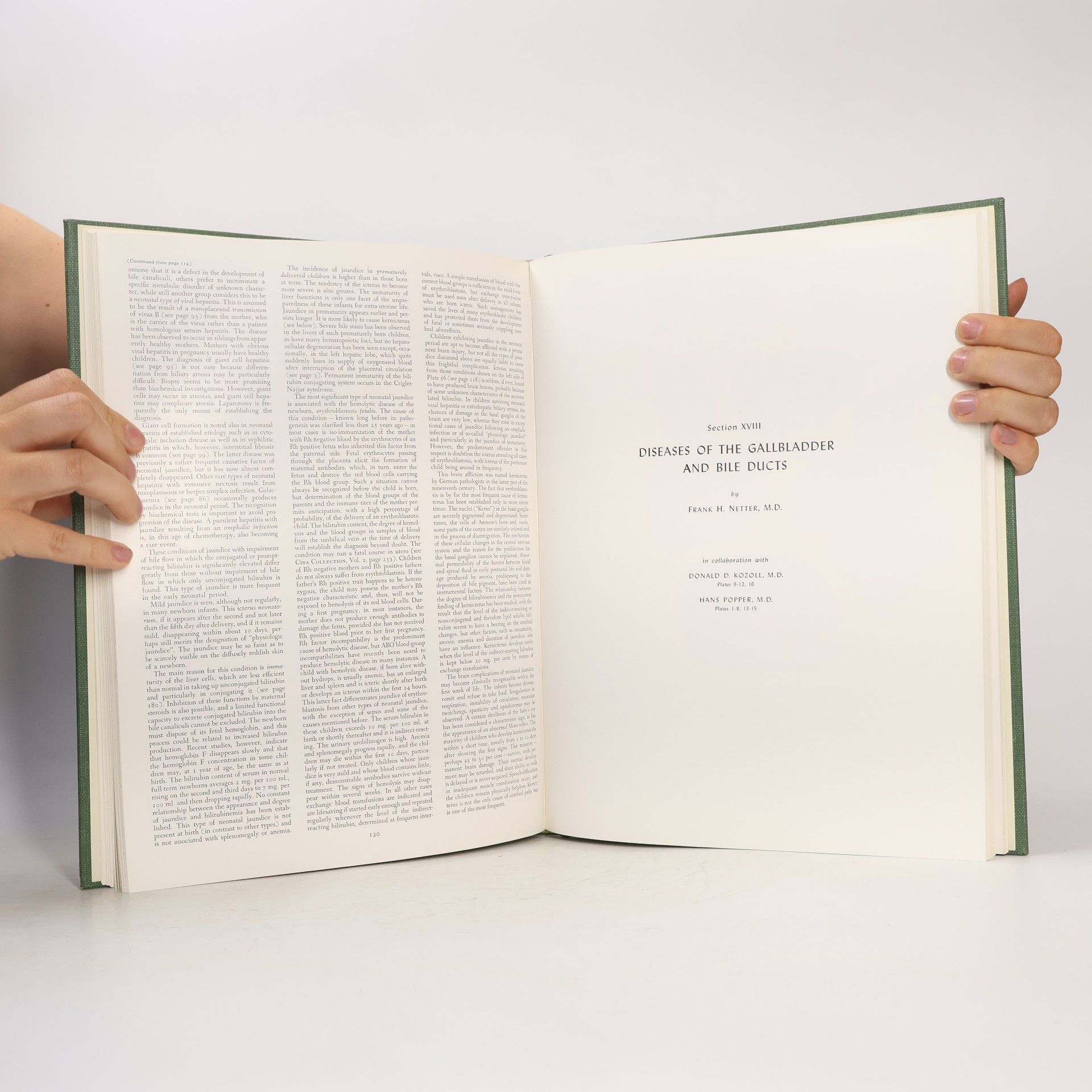 Frank H. Netter The Ciba Collection of Medical Illustrations 3
