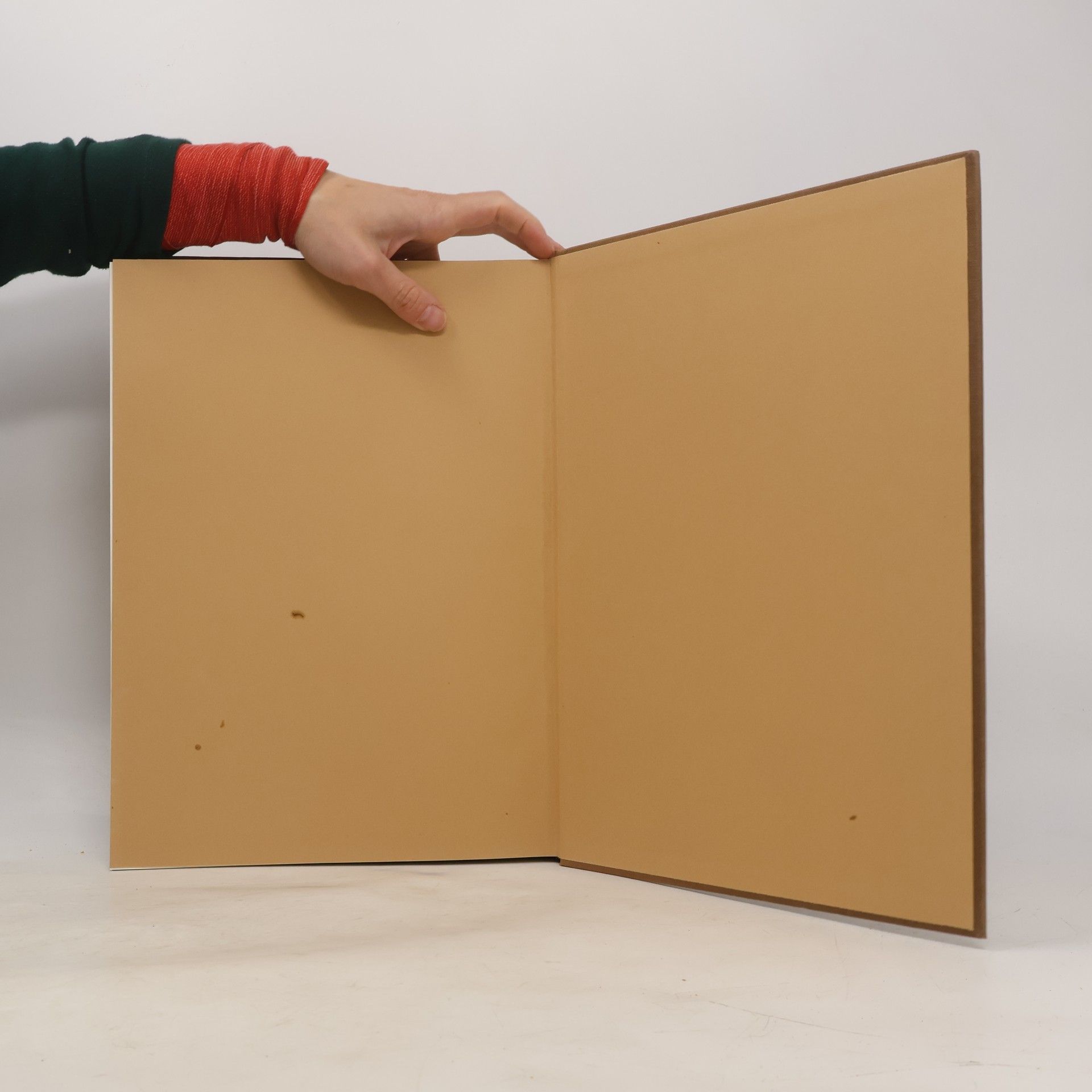 Michael Jacobs A Guide to European Painting