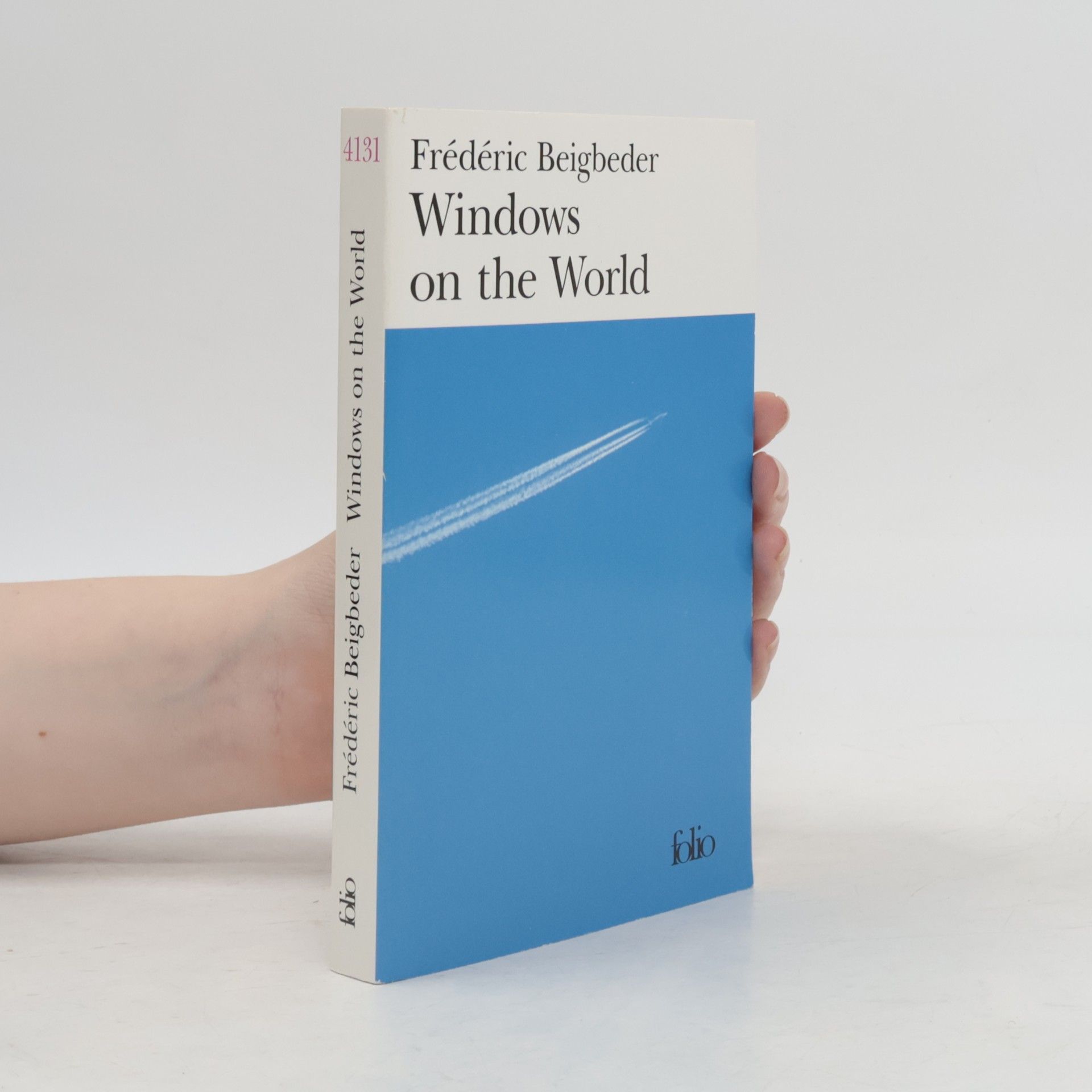 Frédéric Beigbeder Windows on the World