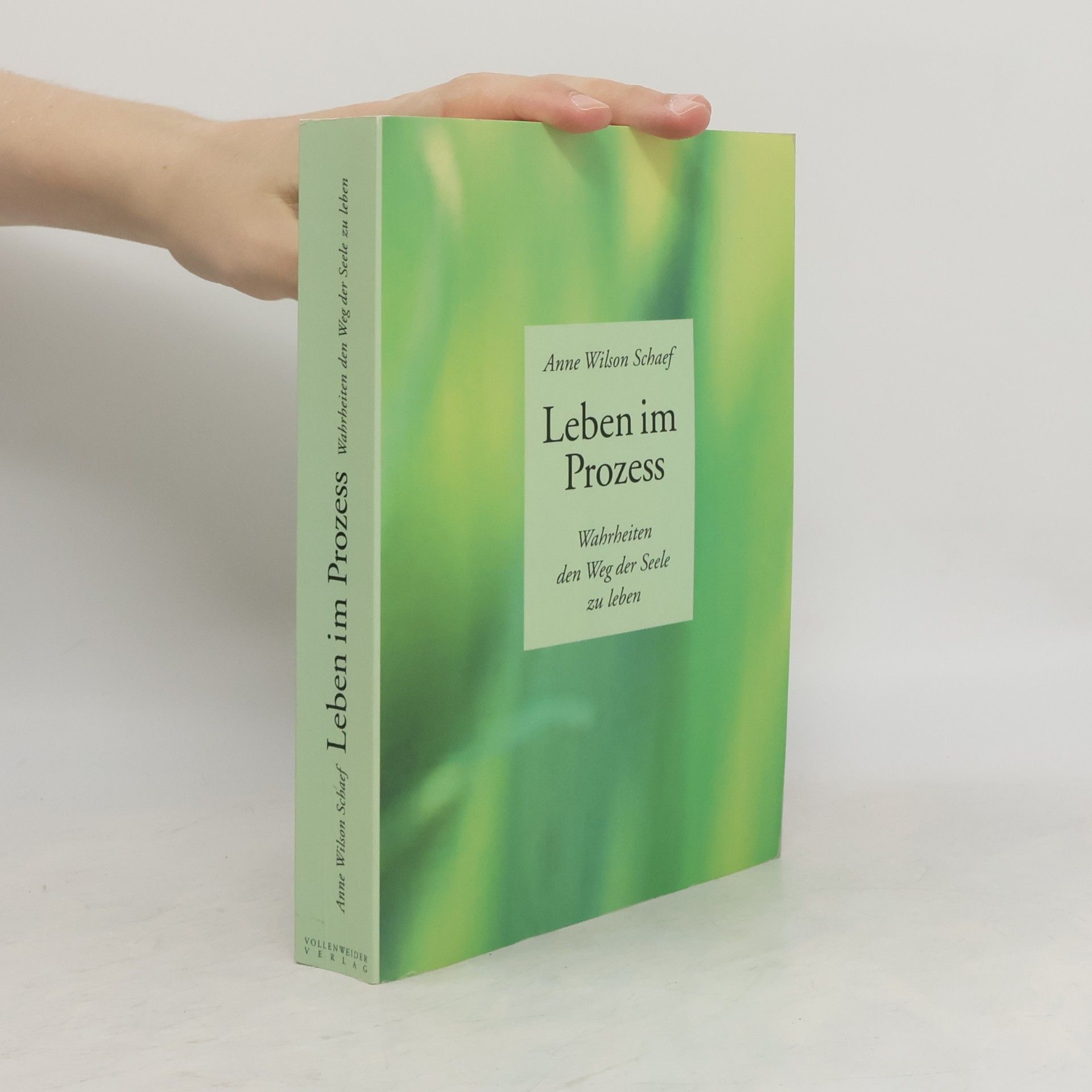 Anne Wilson Schaef Leben im Prozess