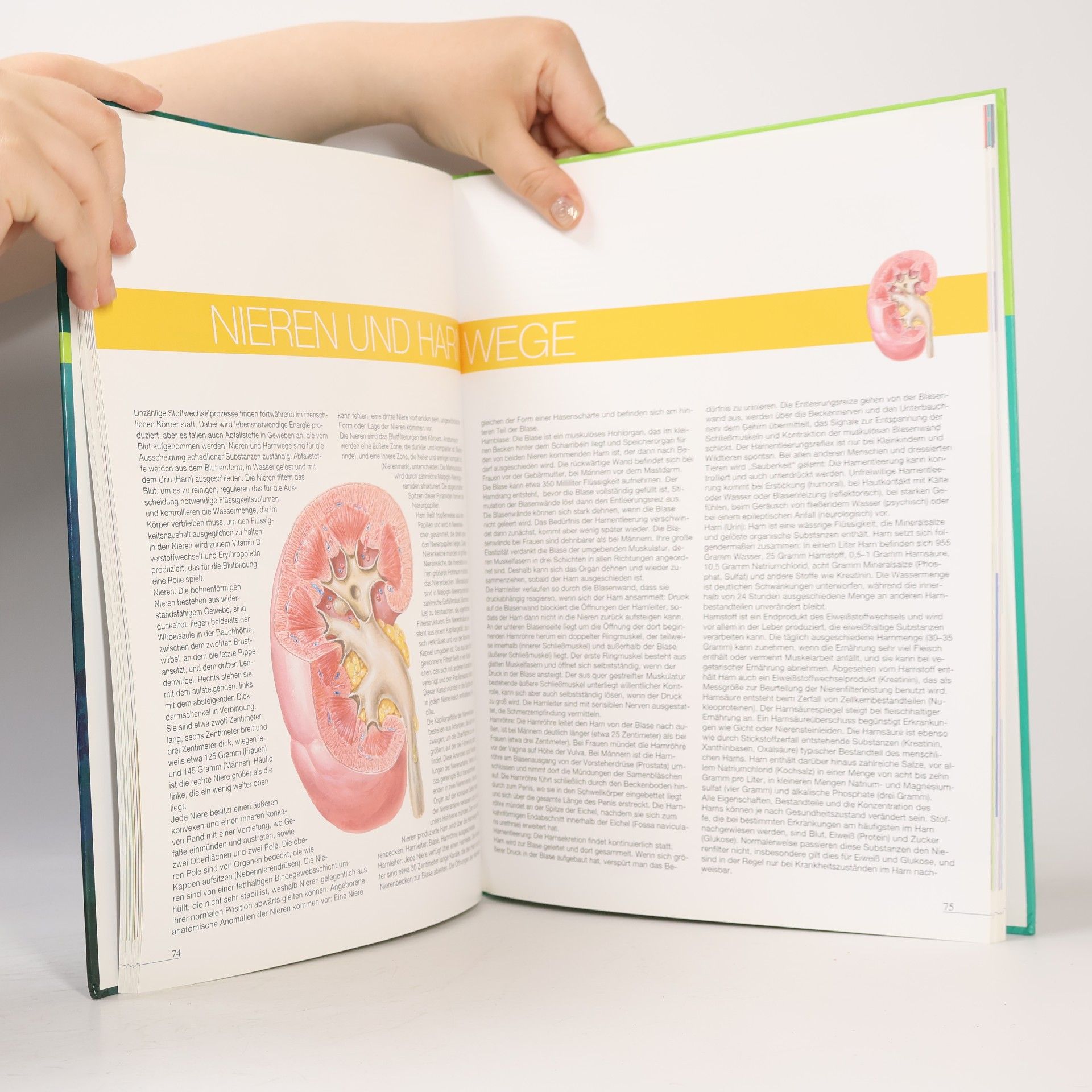 Collectif d'auteurs Atlas des Menschen