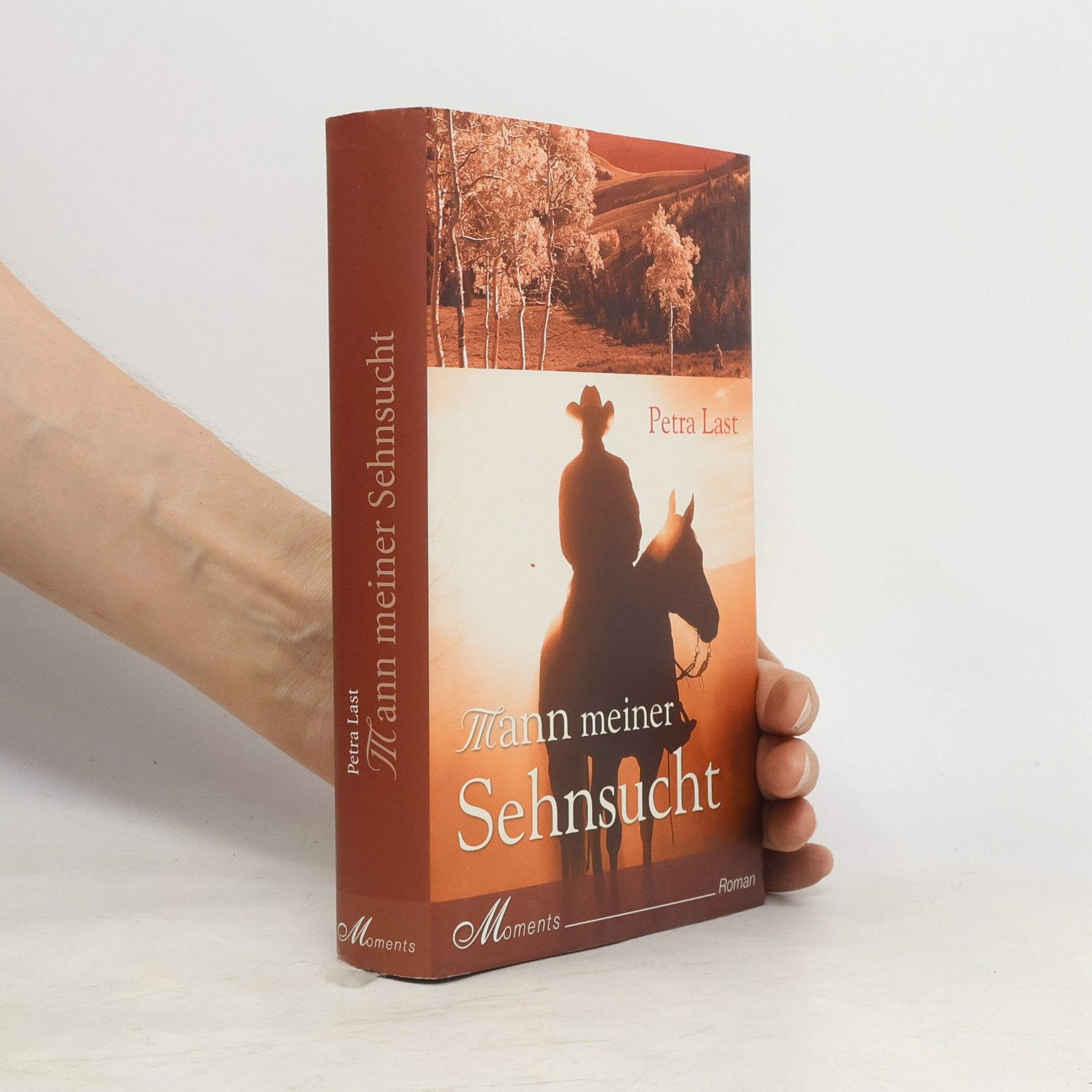 Petra Last Mann meiner Sehnsucht