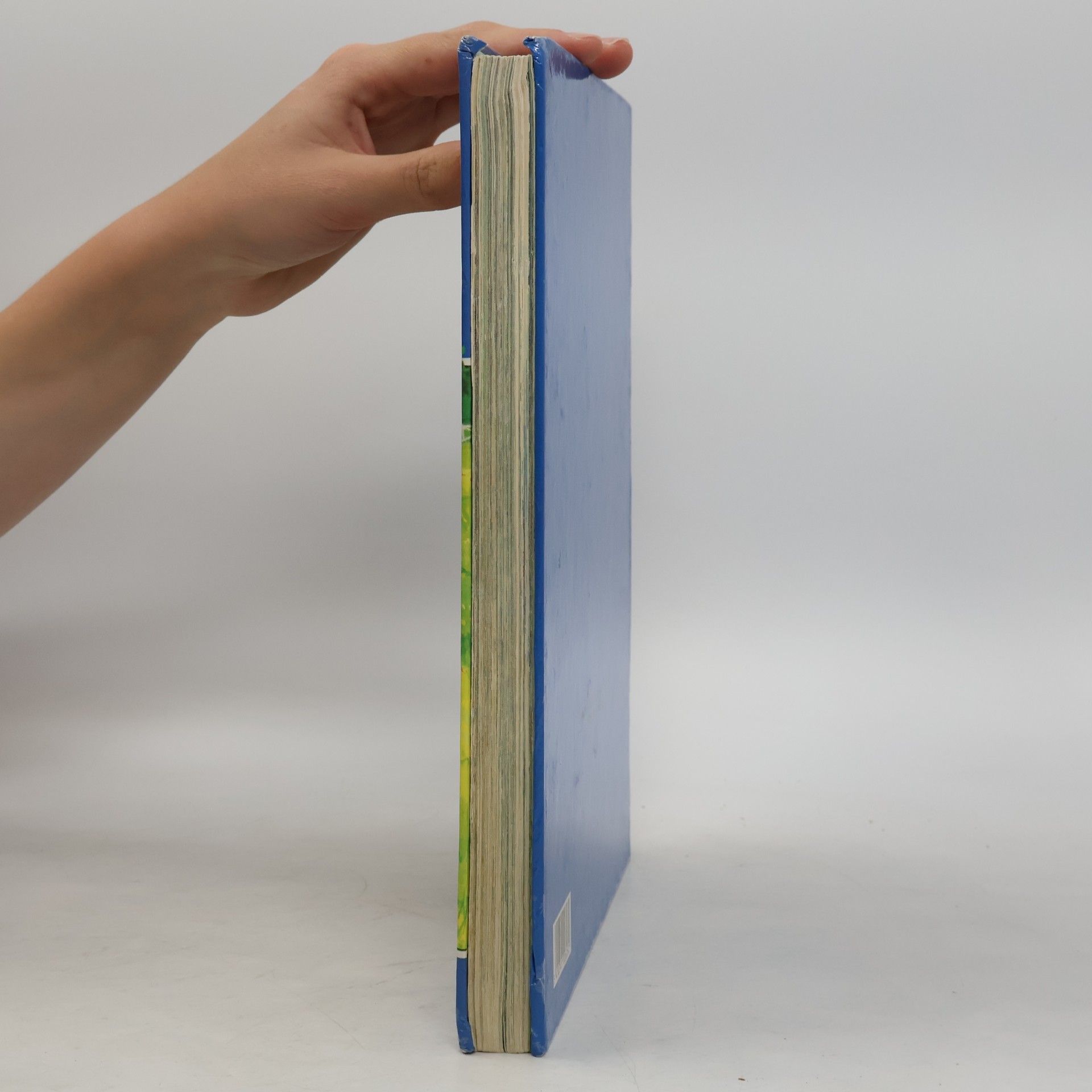 Autorenkollektiv Mein großes Tierbuch