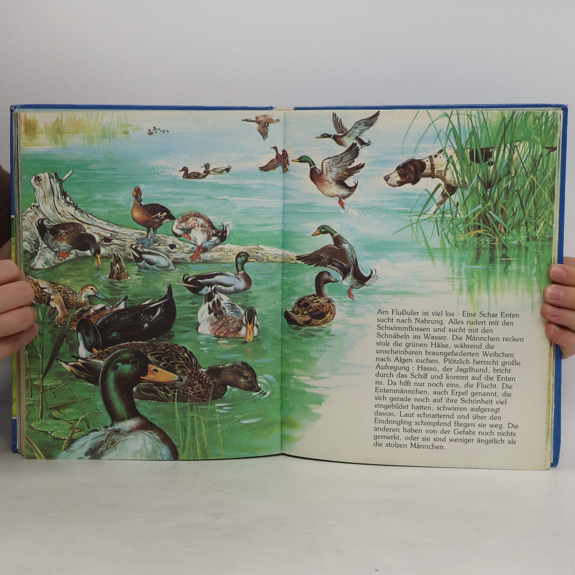 Autorenkollektiv Mein großes Tierbuch