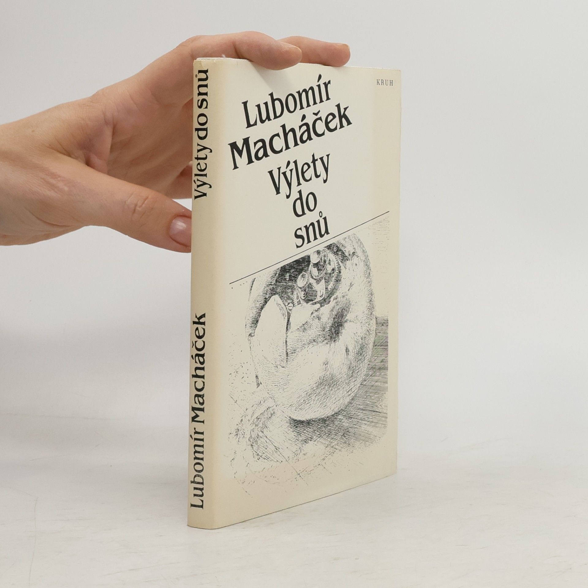 Lubomír Macháček Výlety do snů