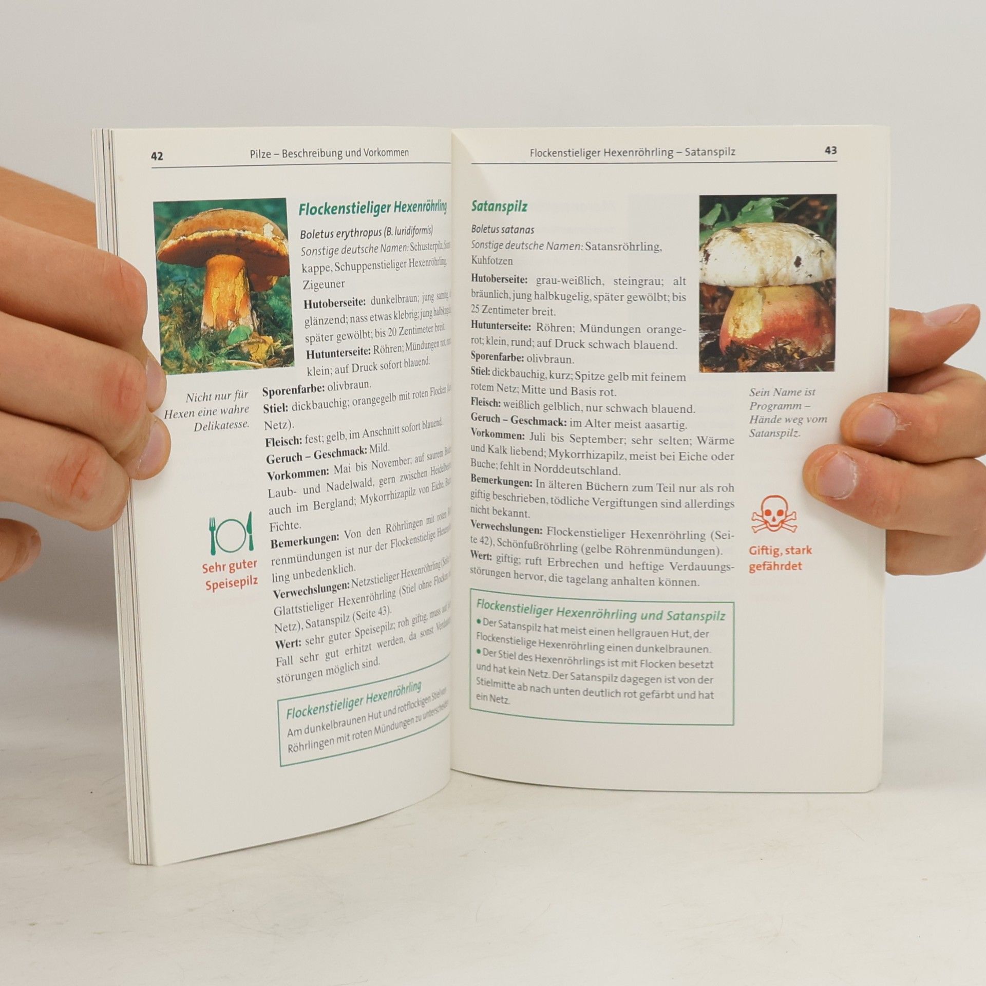 B. Gina Wolters Bestimmungsbuch Pilze