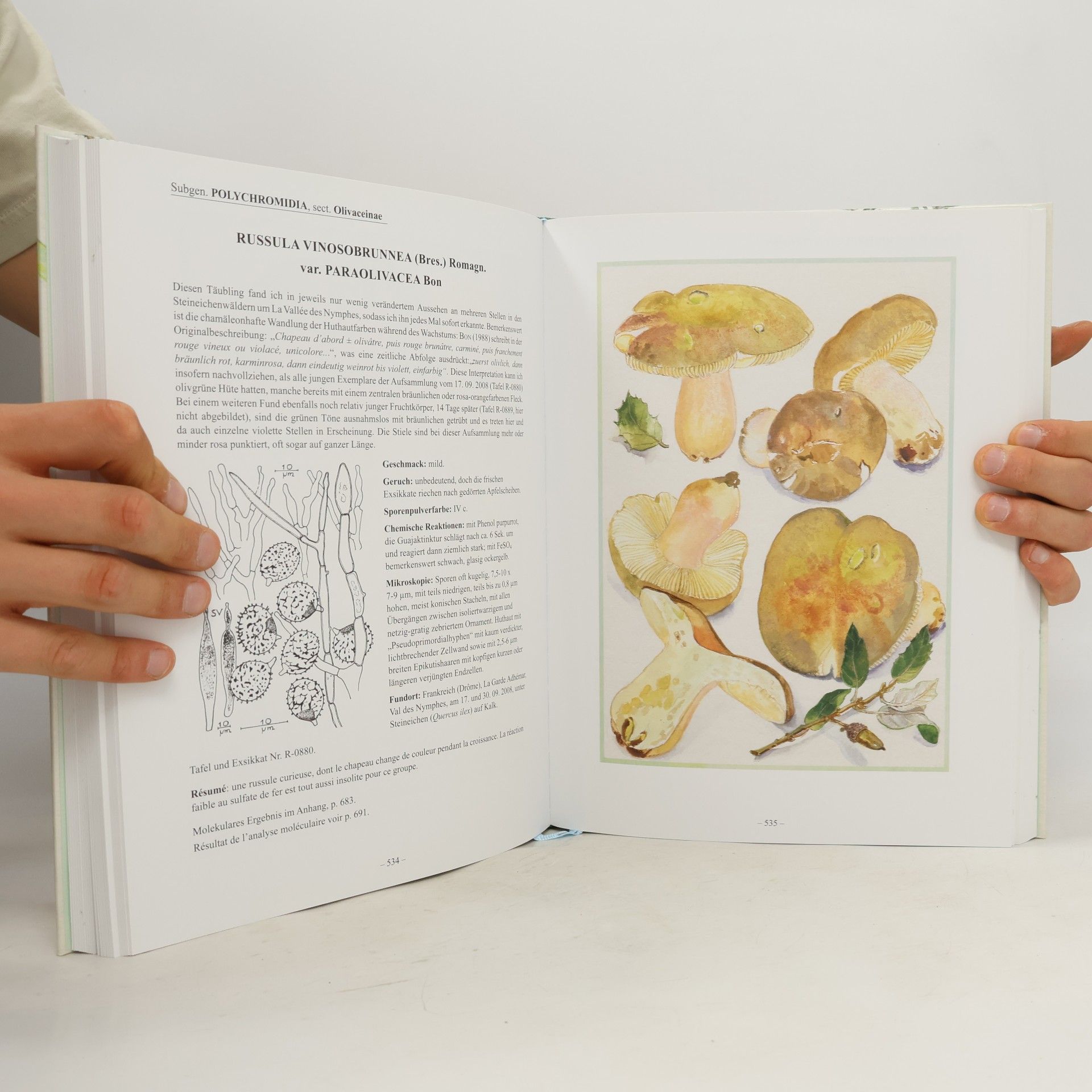 Helga Marxmüller Russularum icones