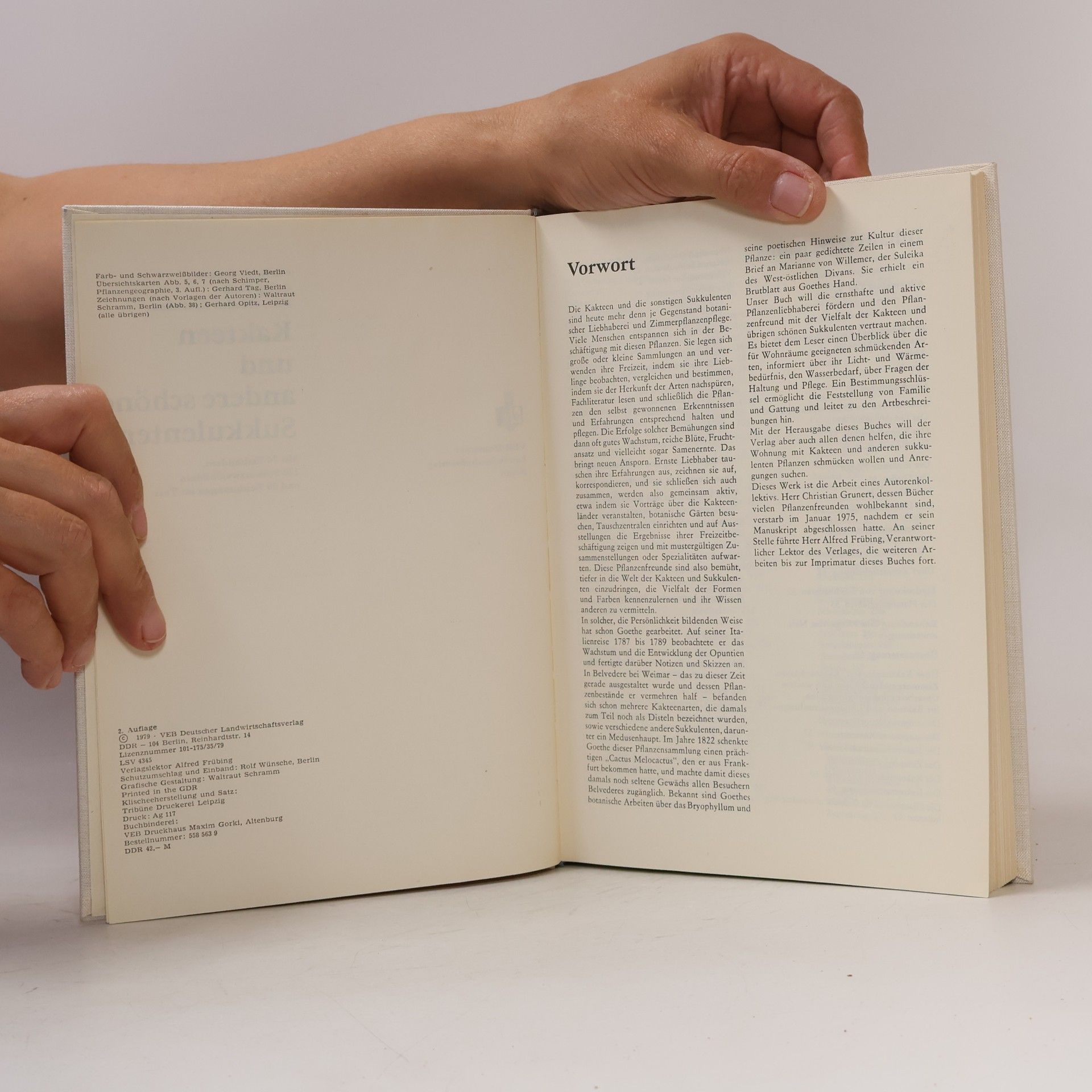 Autorenkollektiv Kakteen und andere schöne Sukkulenten