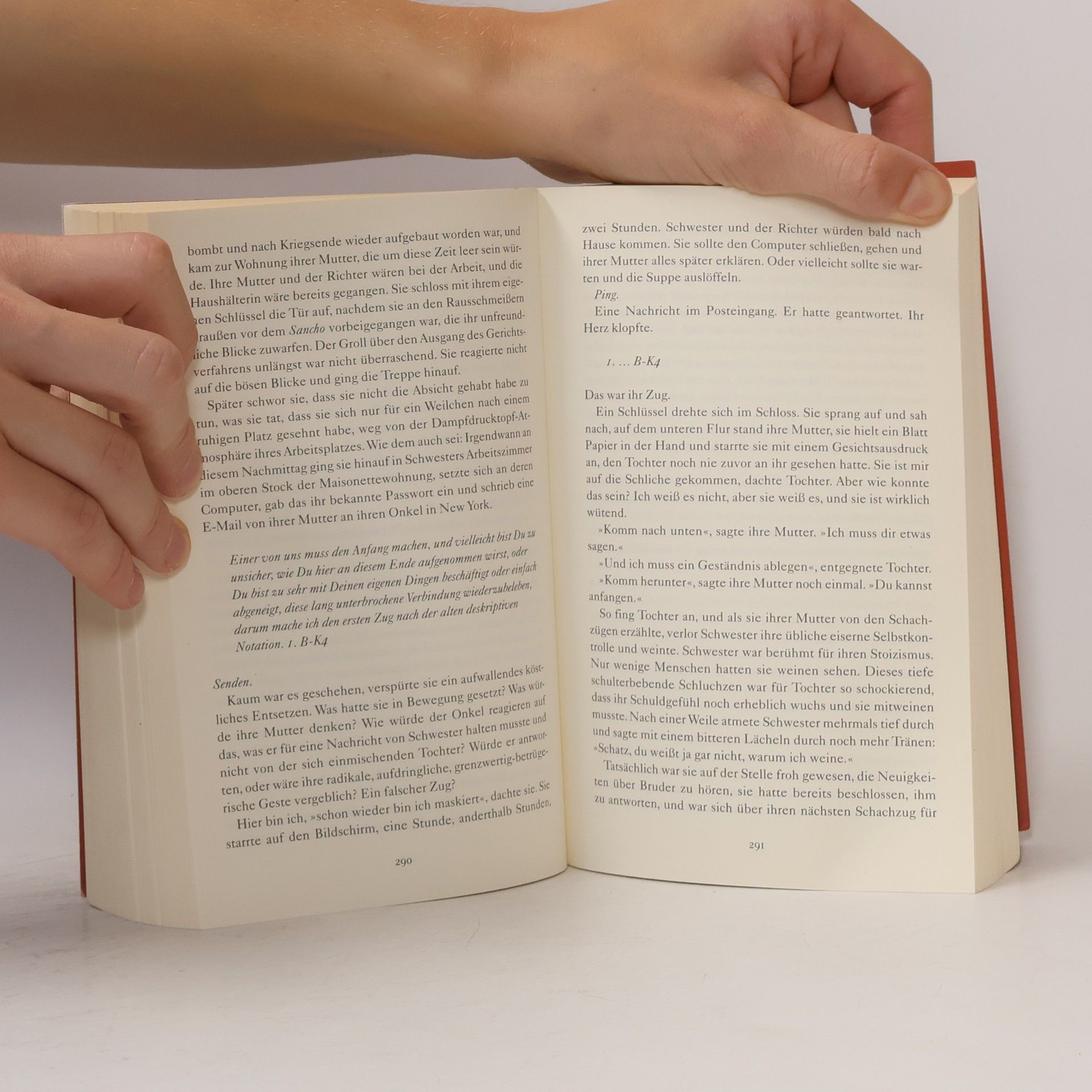 Salman Rushdie Quichotte