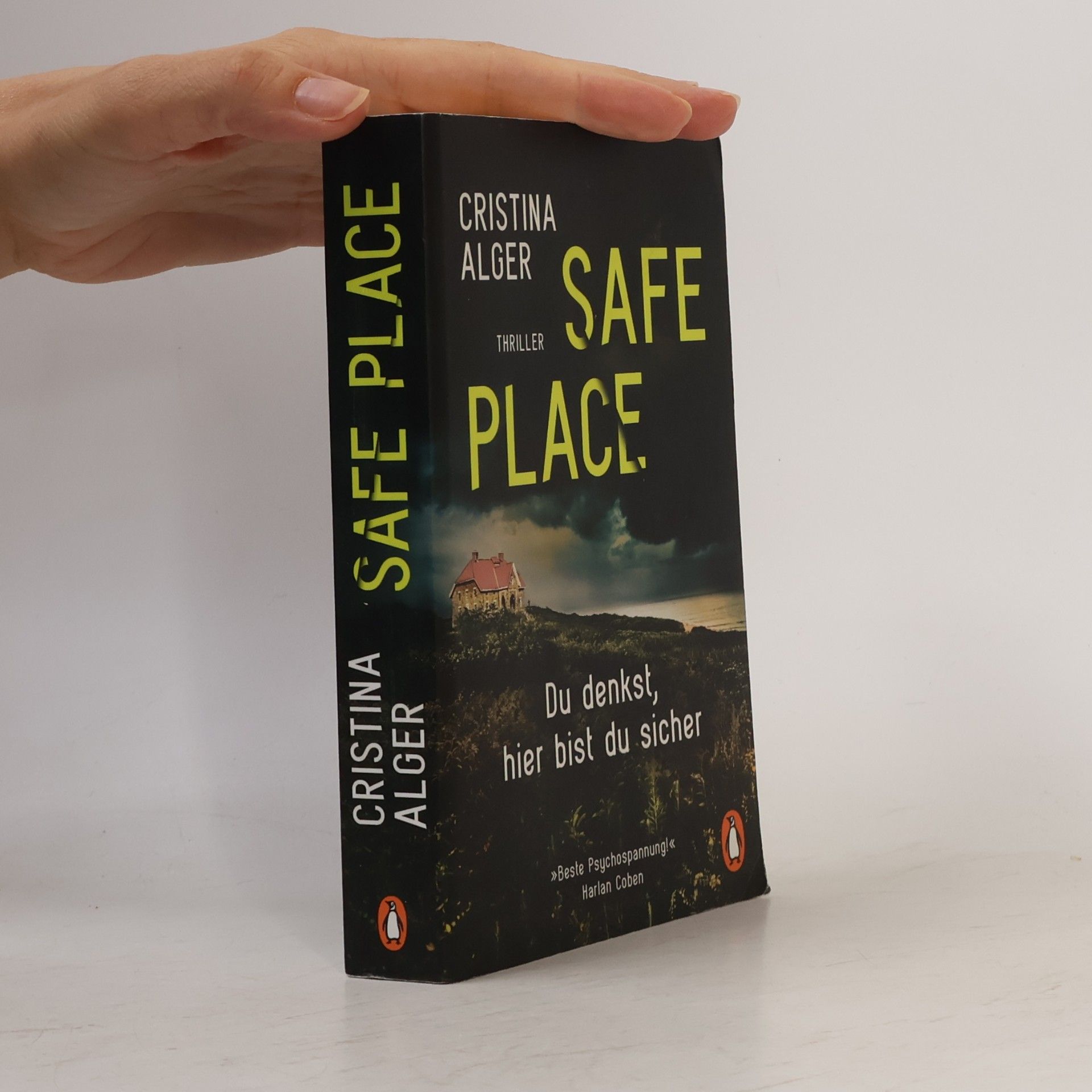 Cristina Alger Safe Place