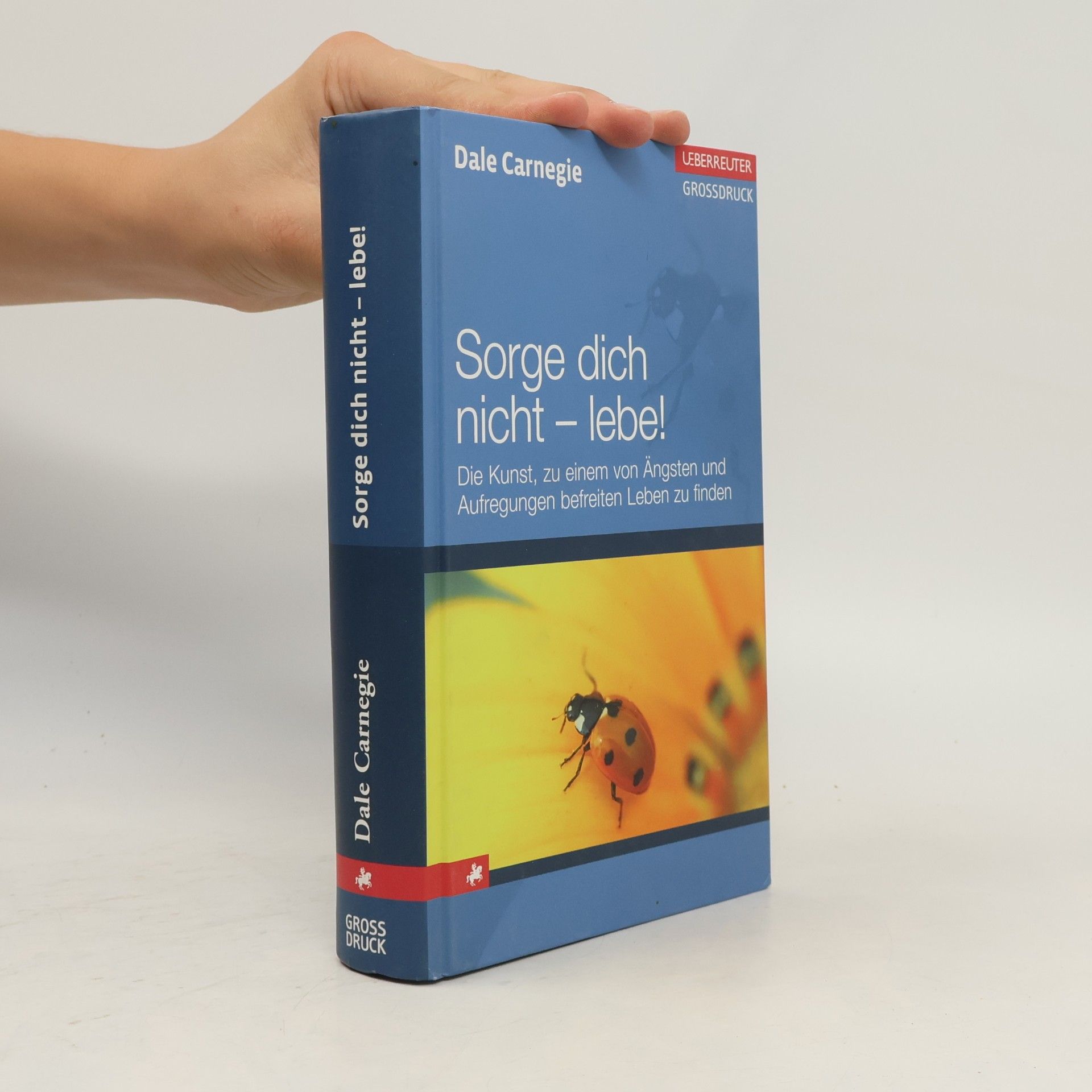 Dale Carnegie Sorge dich nicht - lebe!