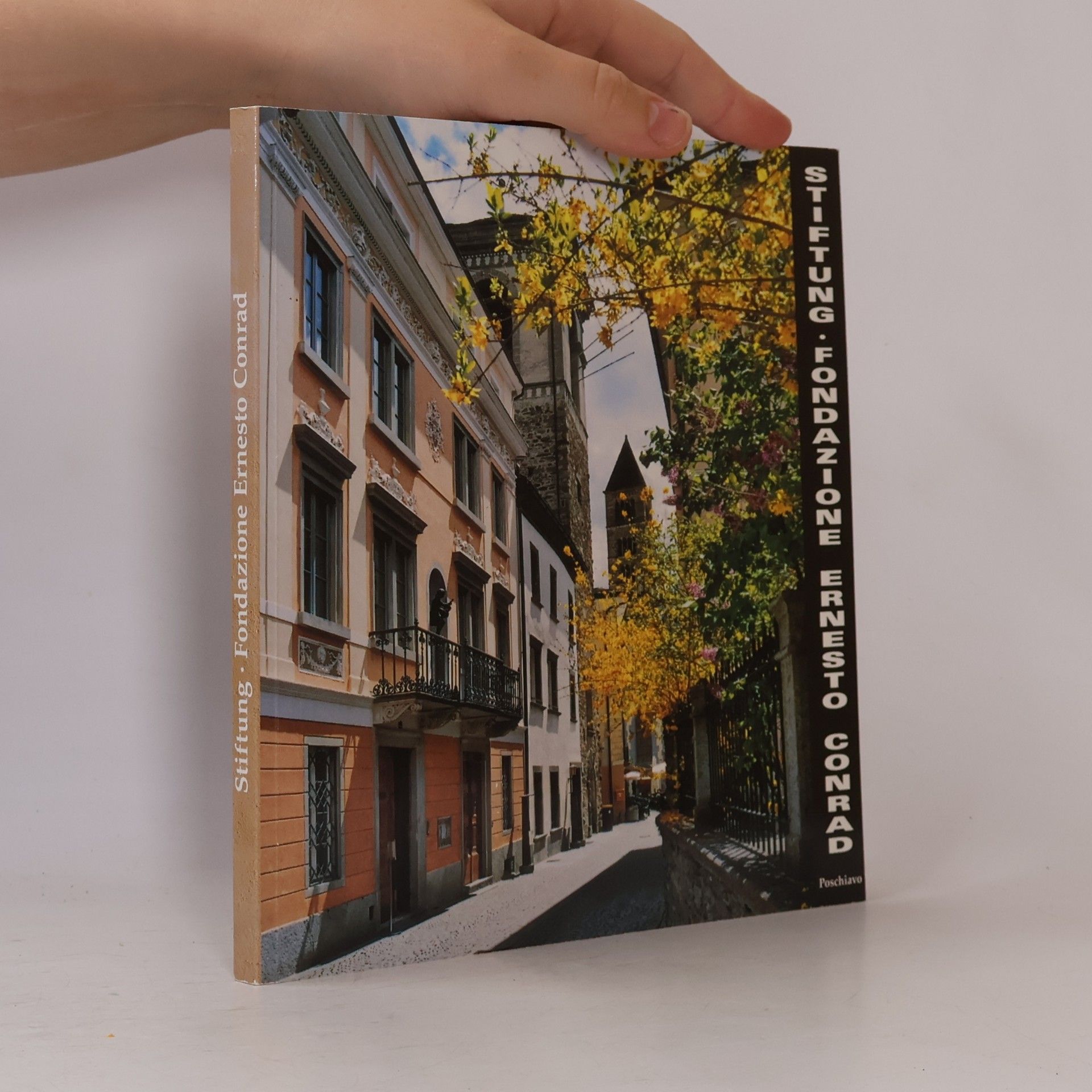 Stiftung fondazione